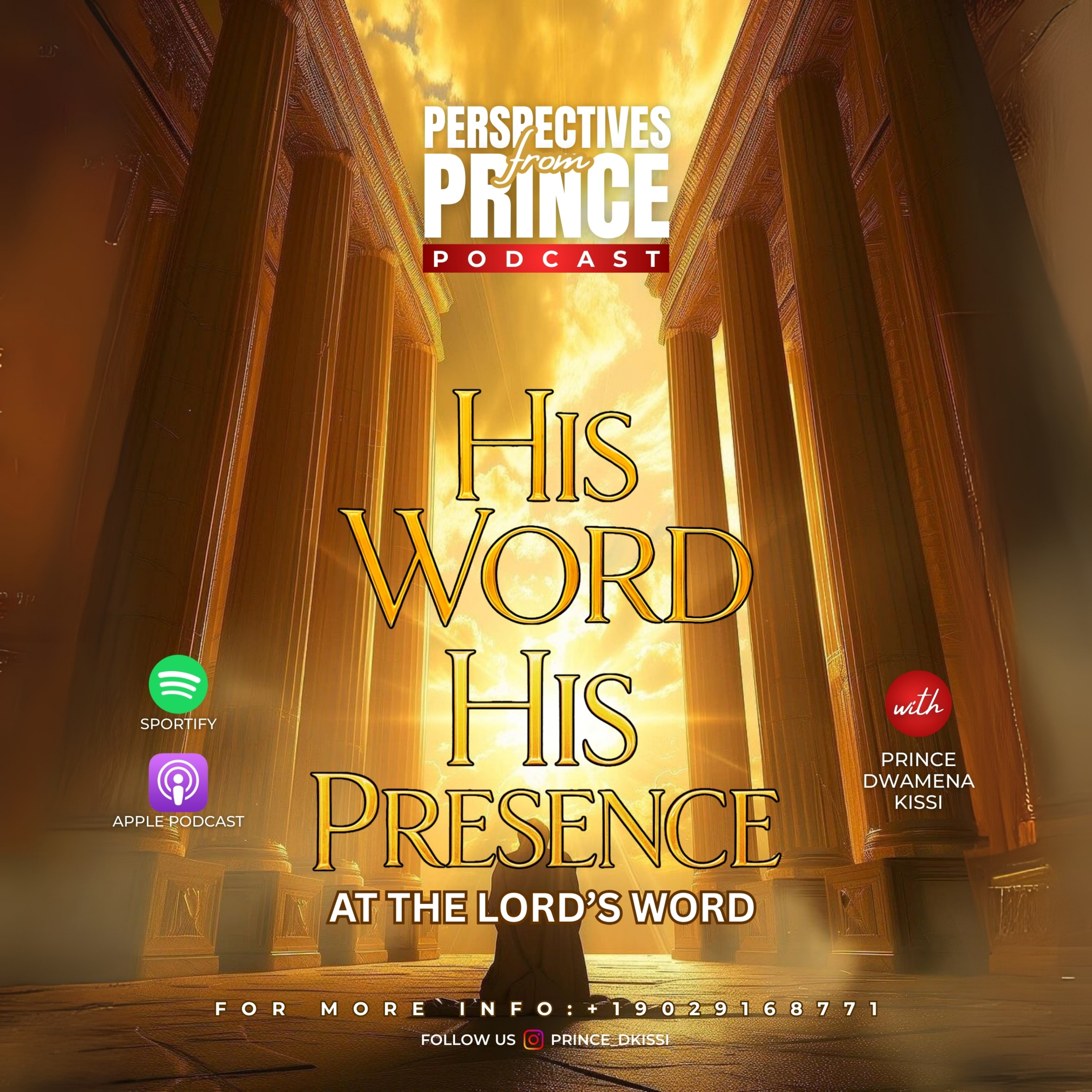 Perspectives from Prince