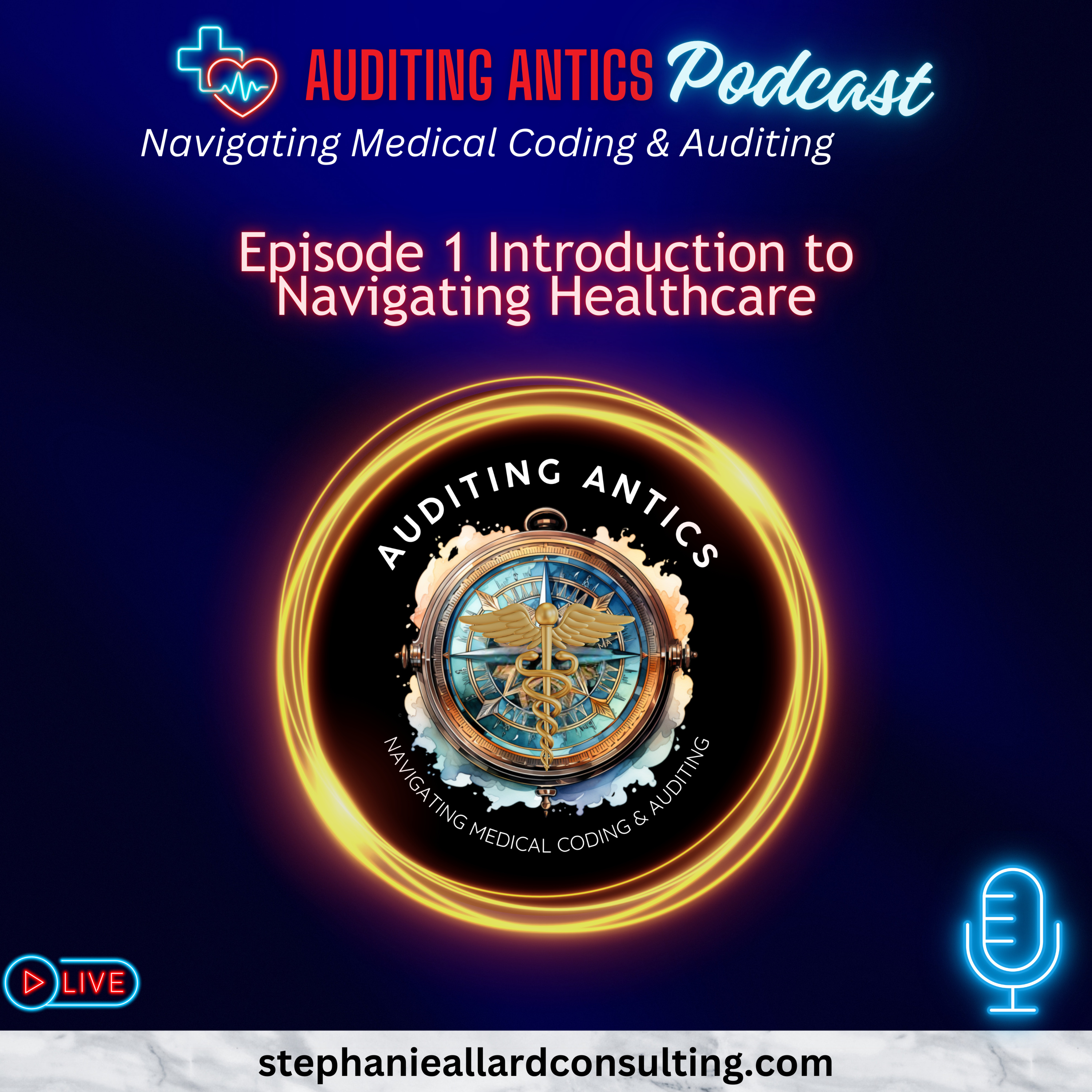  Introduction to Navigating Healthcare  episode artwork
