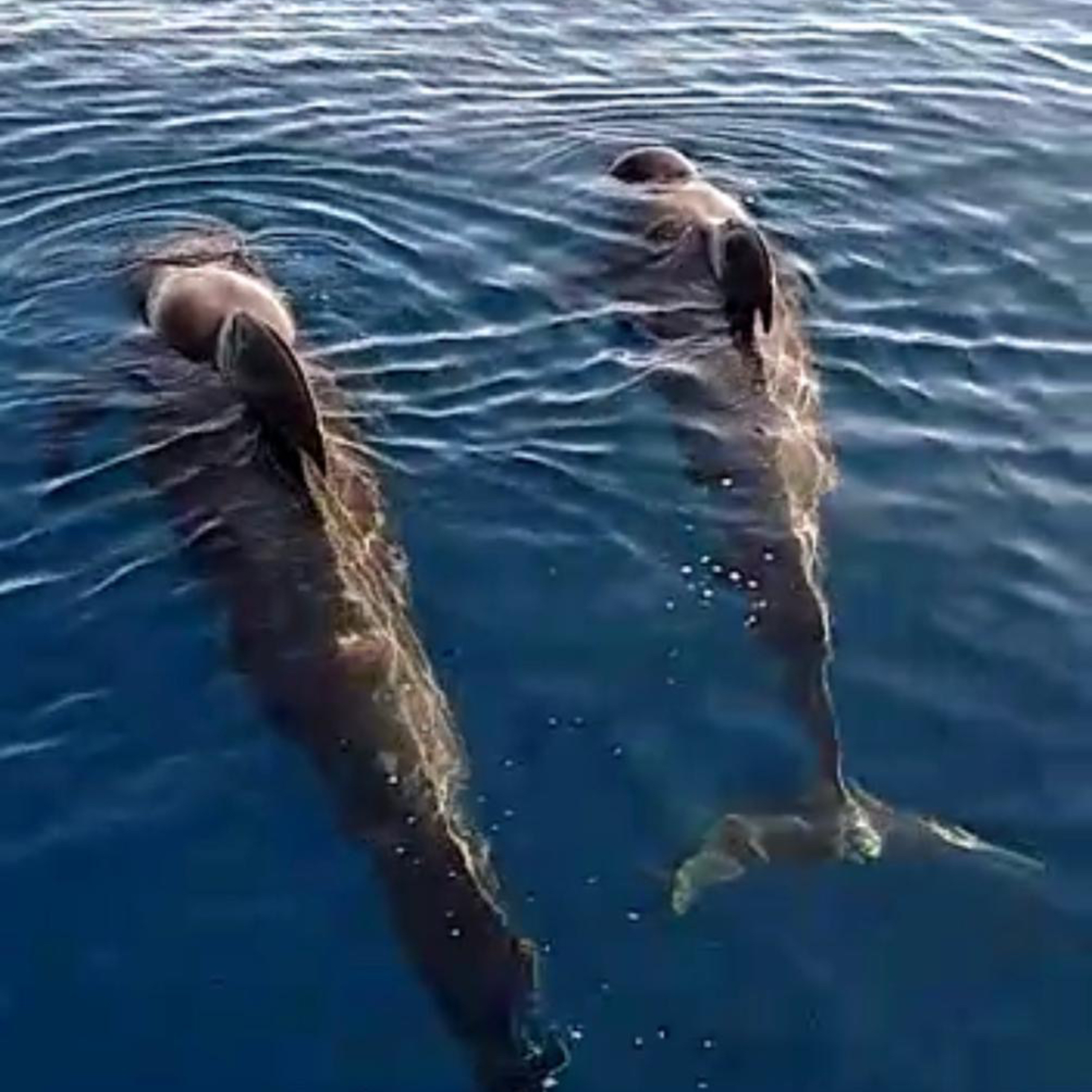 Livingold ⚜️ GOLD. LEBEN. JETZT.