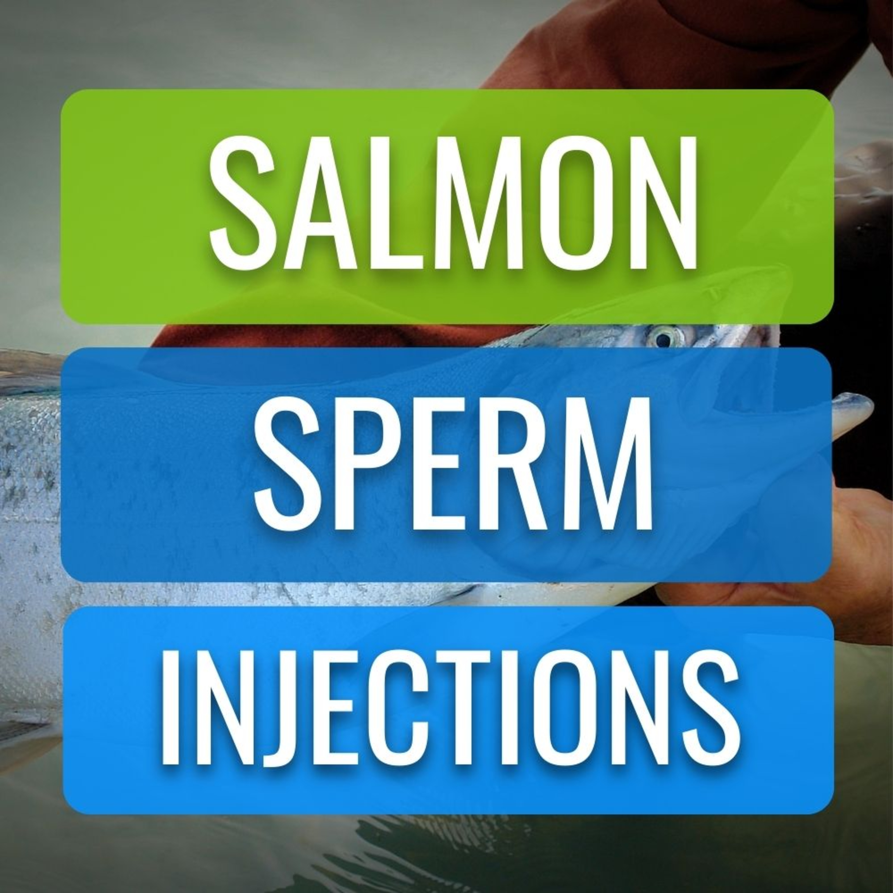 Sports Injury Physio