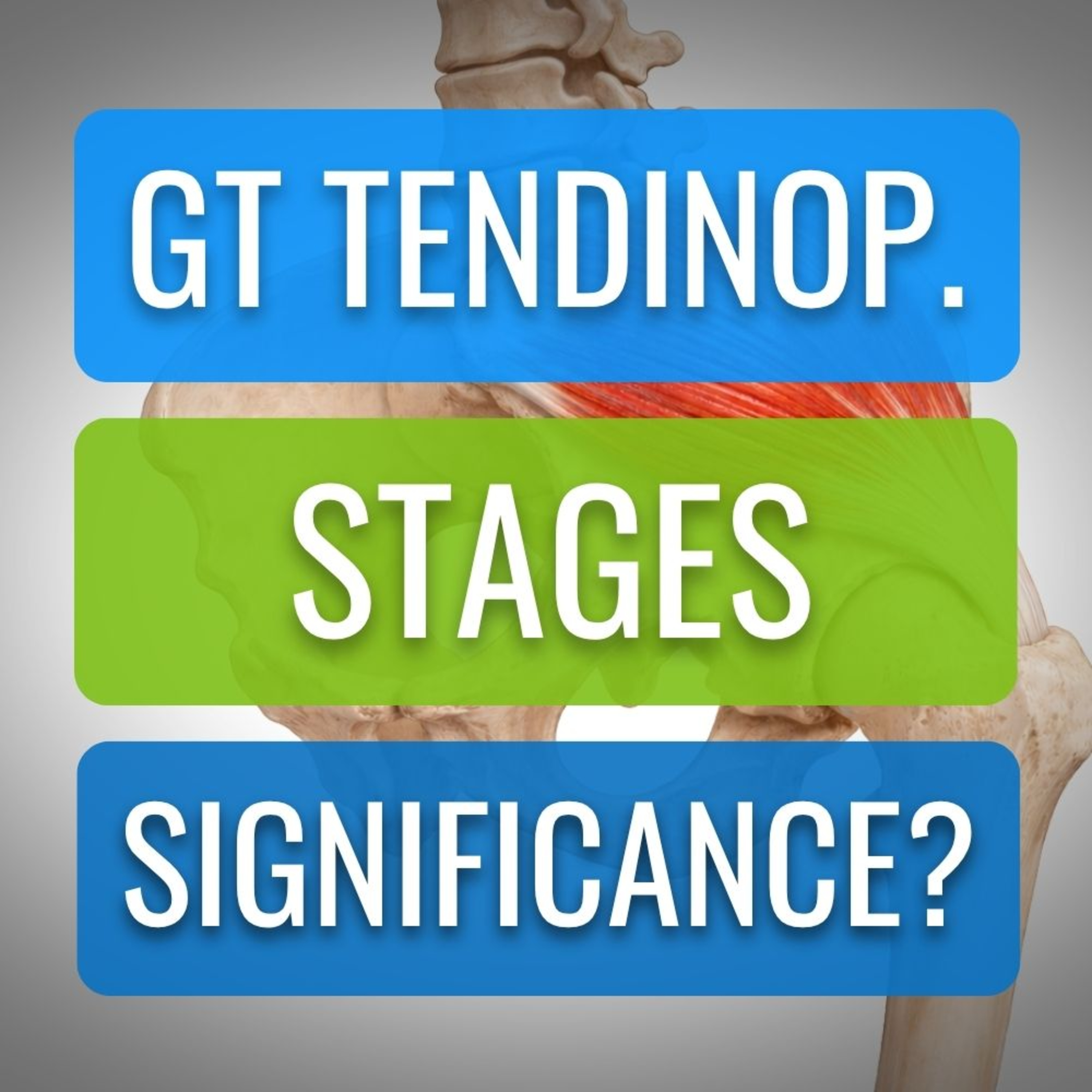 Gluteal Tendinopathy Recovery: Why It Matters What Stage Your Injury Is In episode artwork