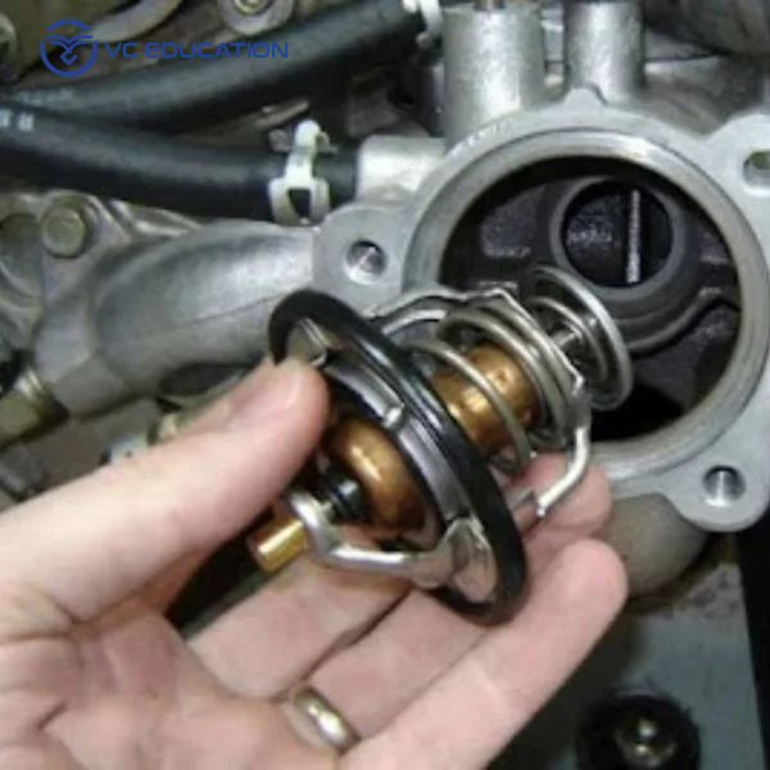 Đáy tắc te là gì? Cấu tạo, nguyên lý và dấu hiệu hỏng hóc