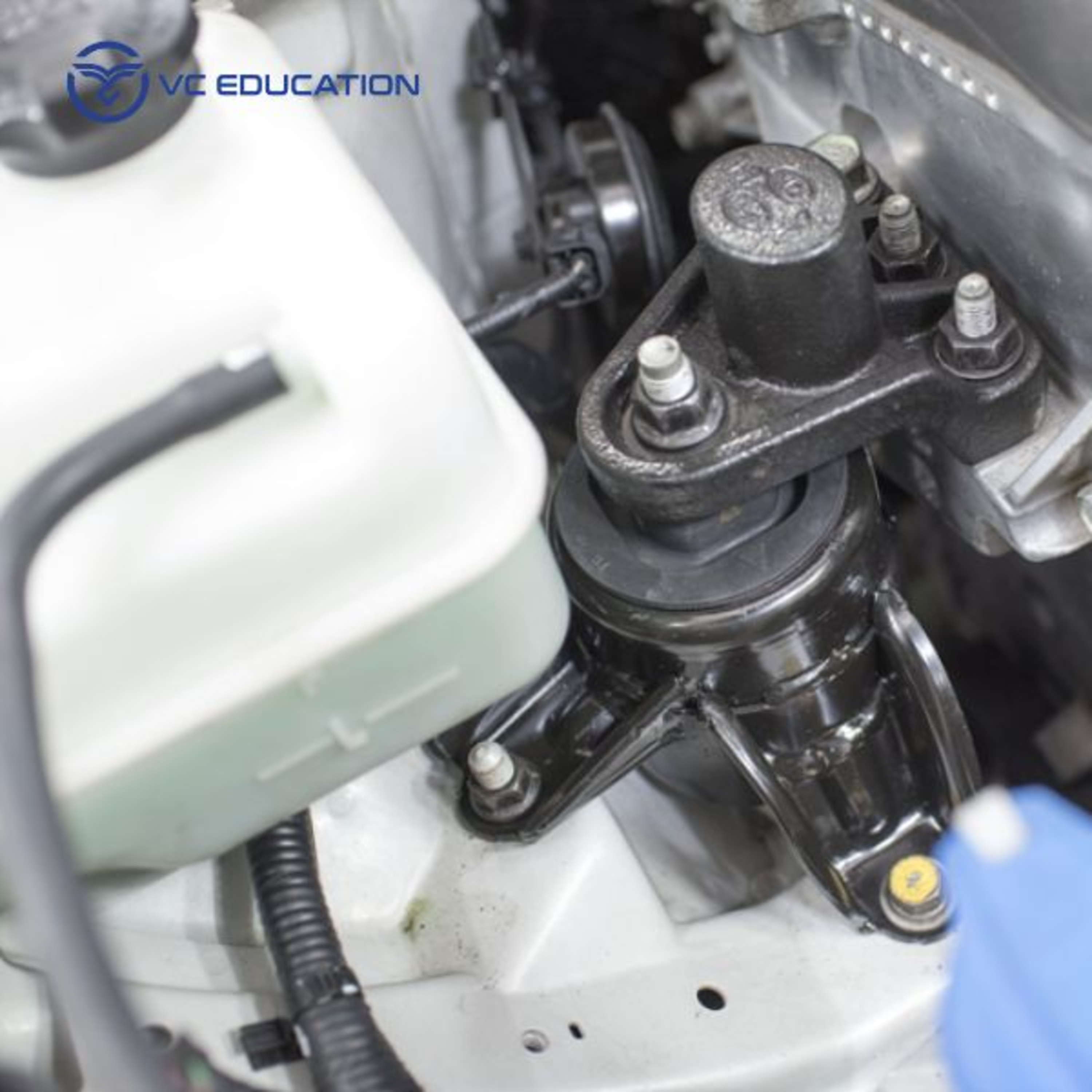 Cao su chân máy: Dấu hiệu và bí quyết giảm rung động cơ