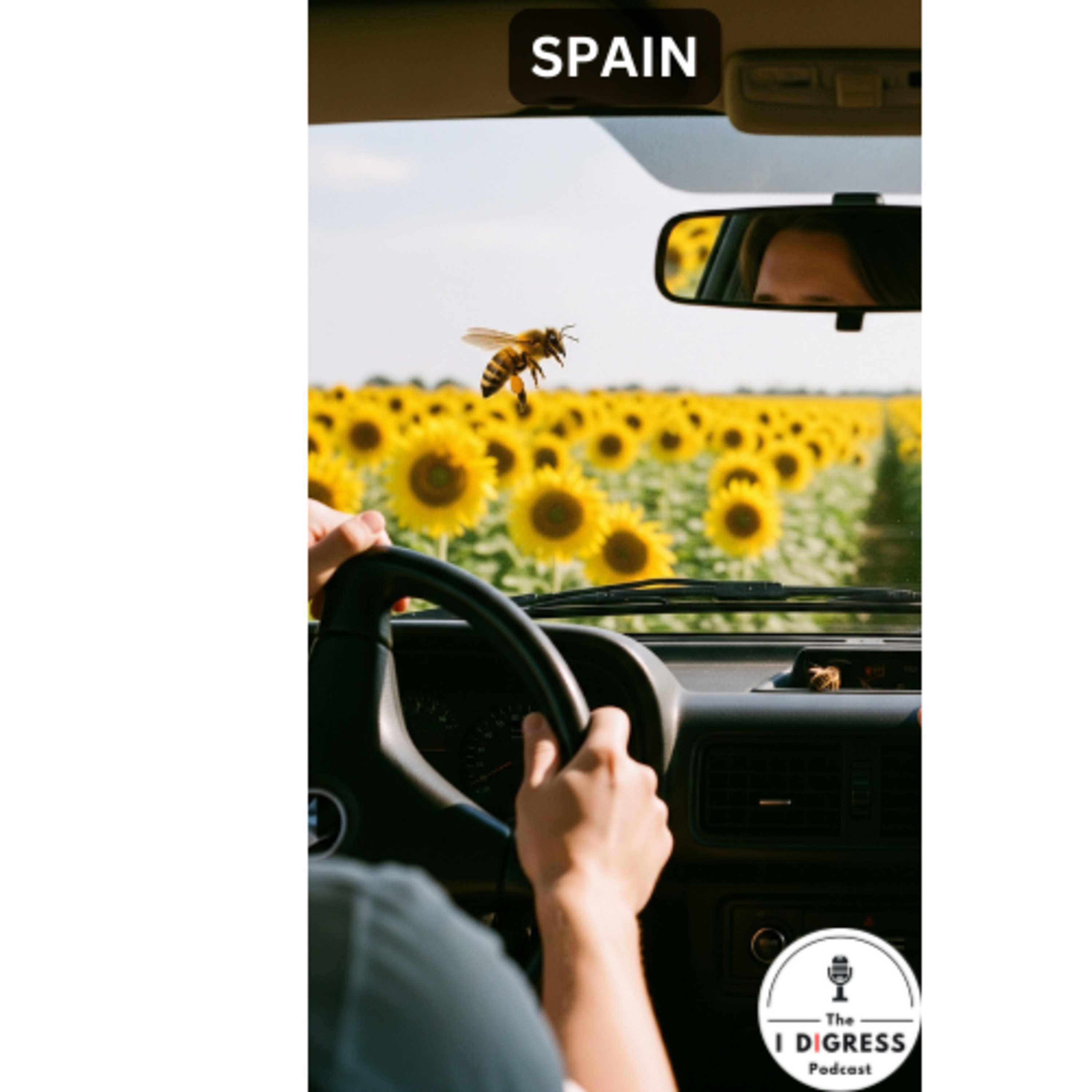 SHORTS: Lost in Spain, Found in Translation episode artwork