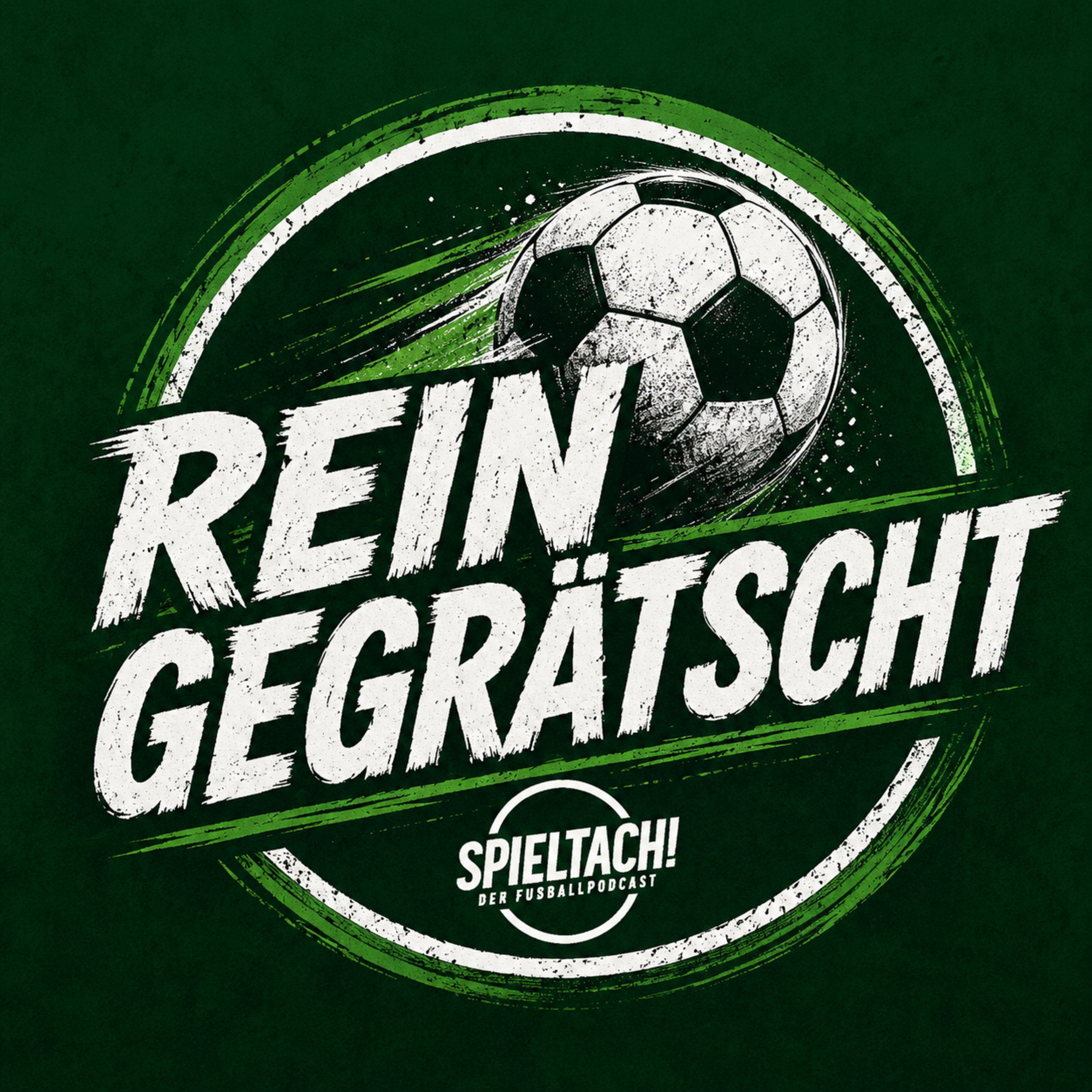 Reingegrätscht: Die FIFA braucht keinen Präsidenten episode artwork