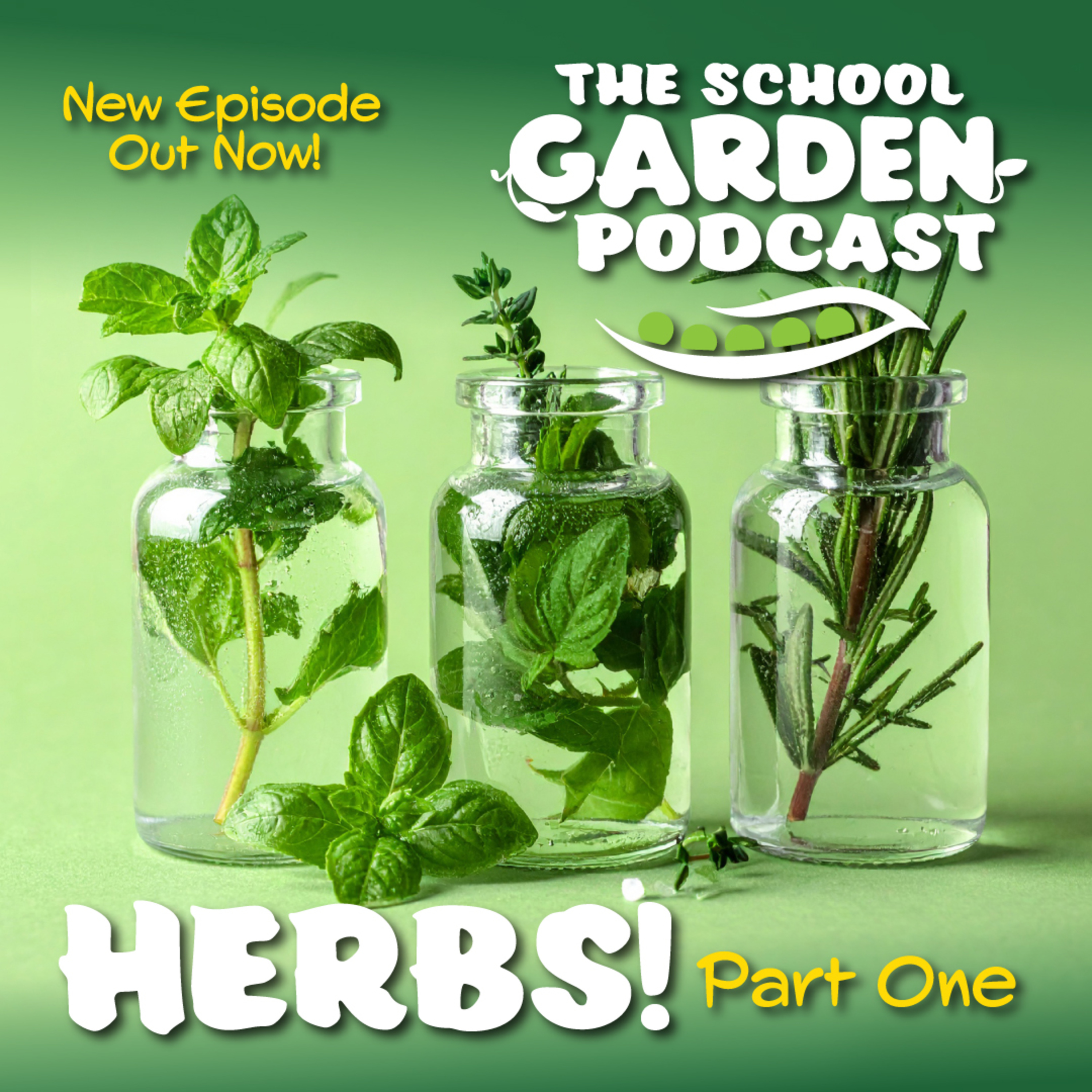Herbs: More than Flavor in our School Gardens