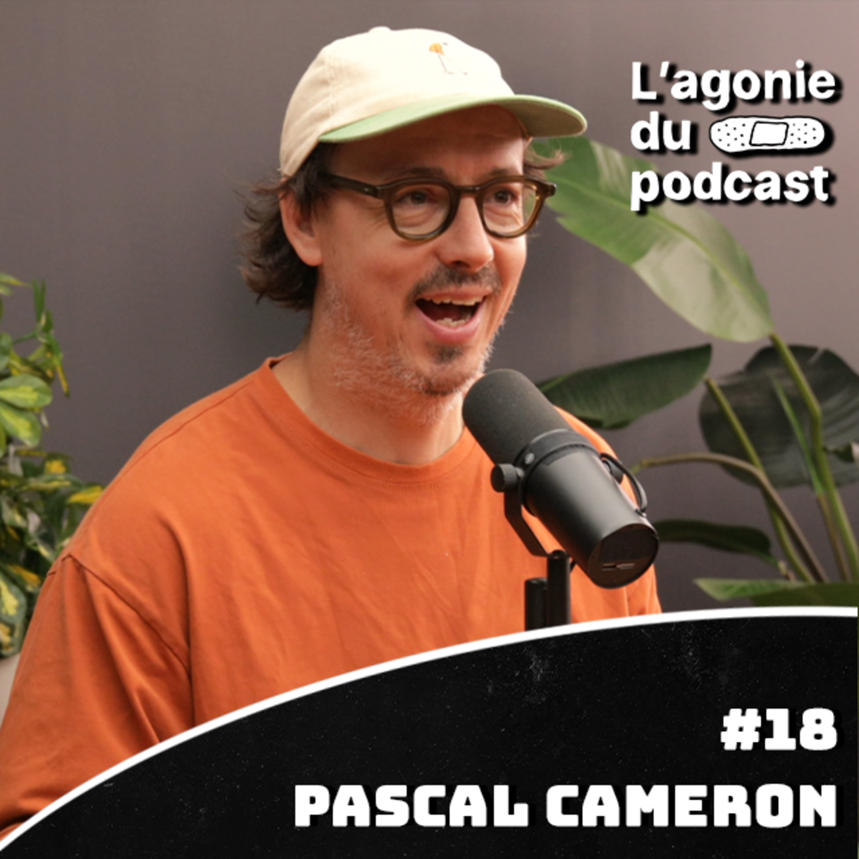 L'agonie du podcast - Pascal Cameron - Vous êtes pas des artistes episode artwork