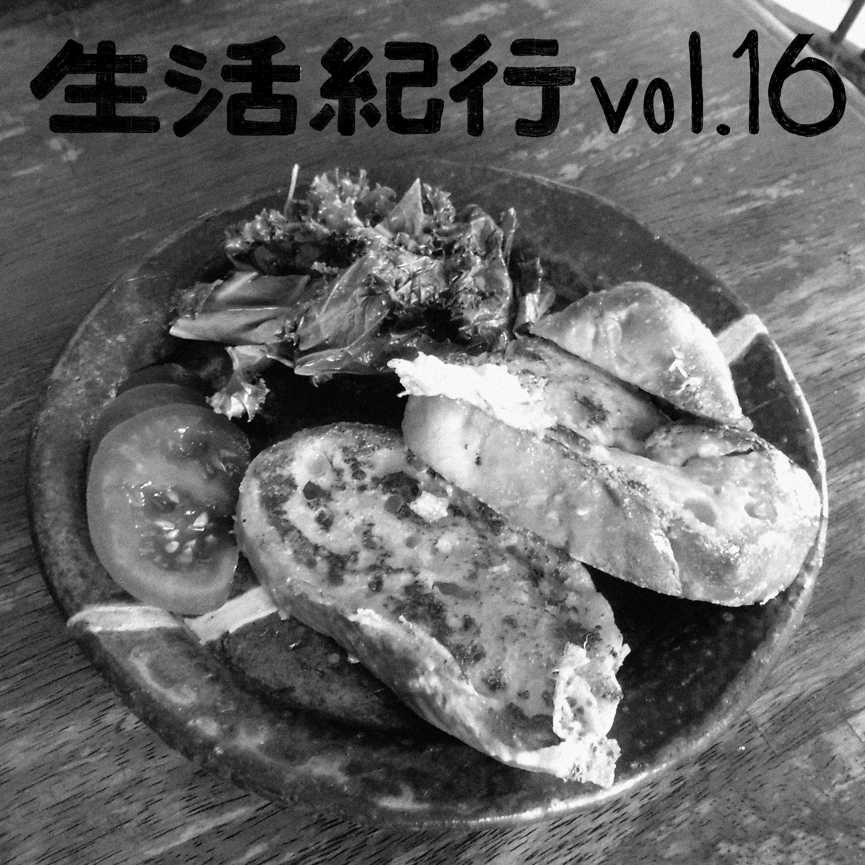 vol.16 episode artwork