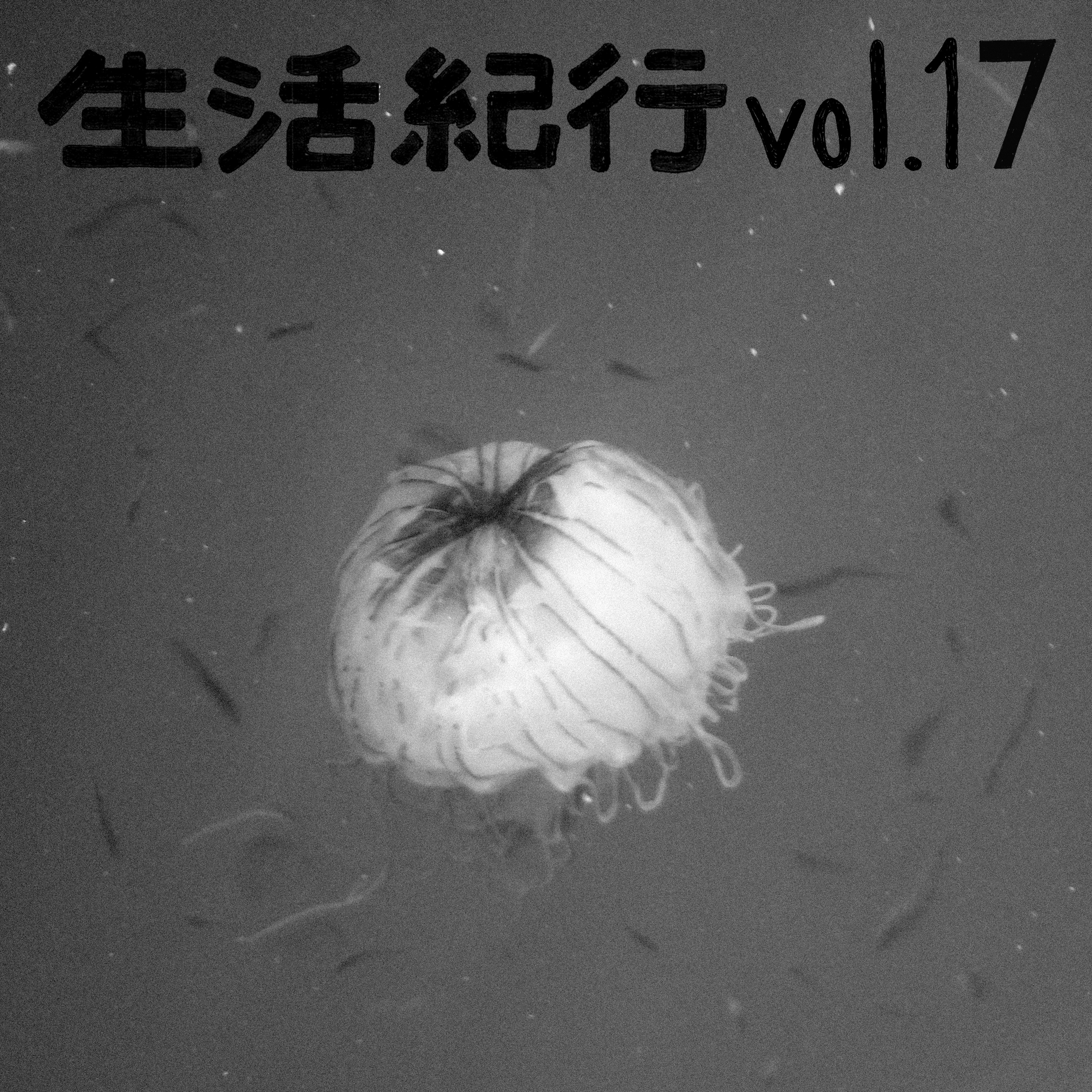 vol.17 episode artwork