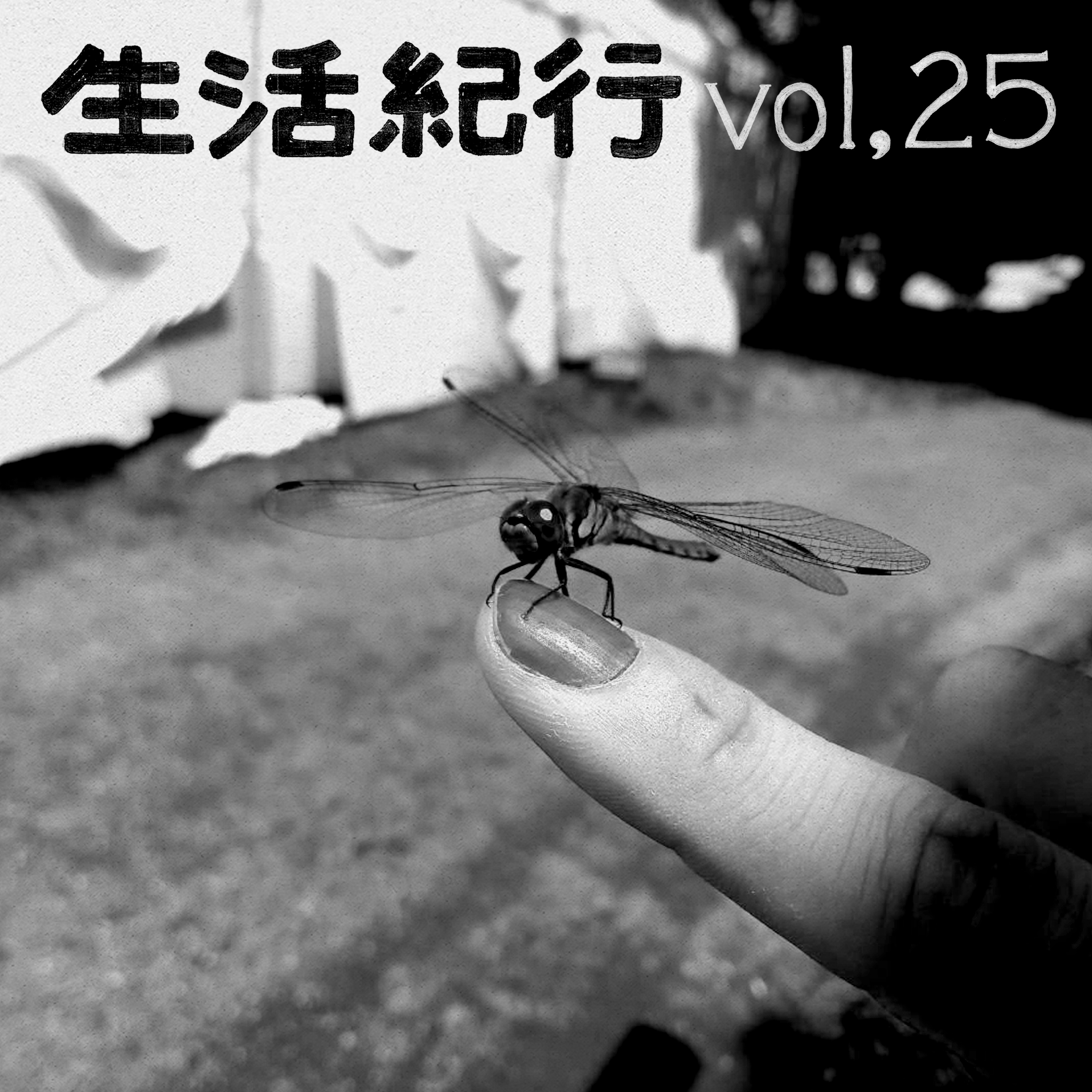 vol.25 episode artwork