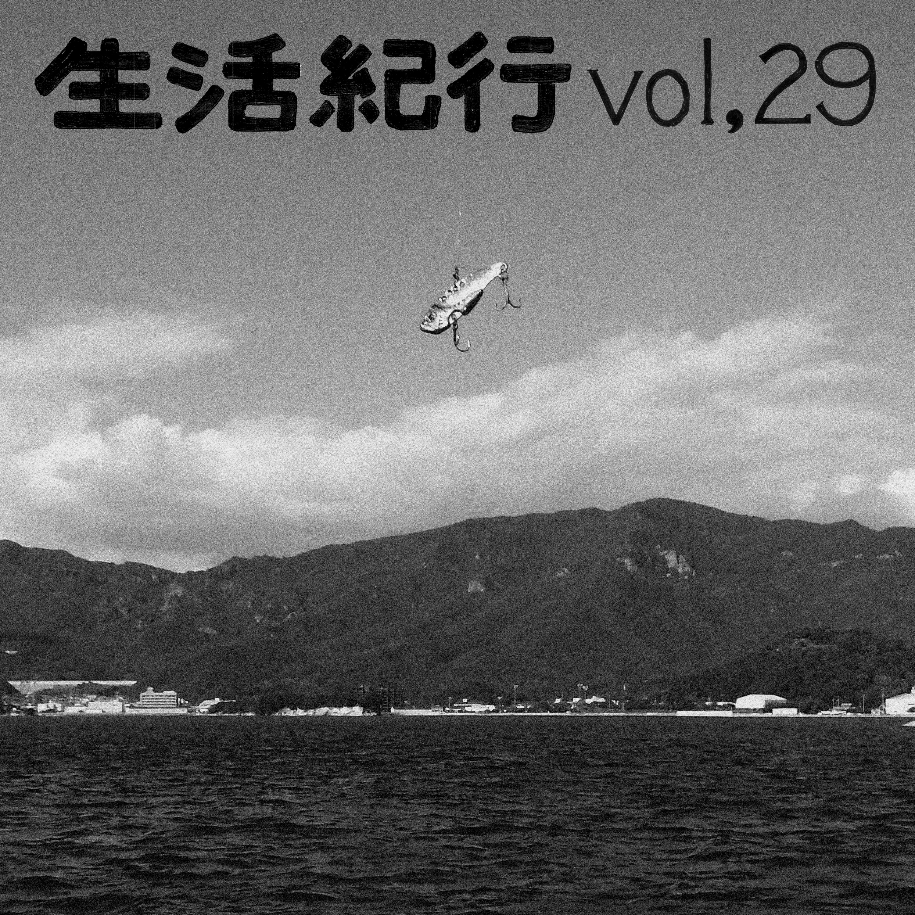 vol.29 episode artwork