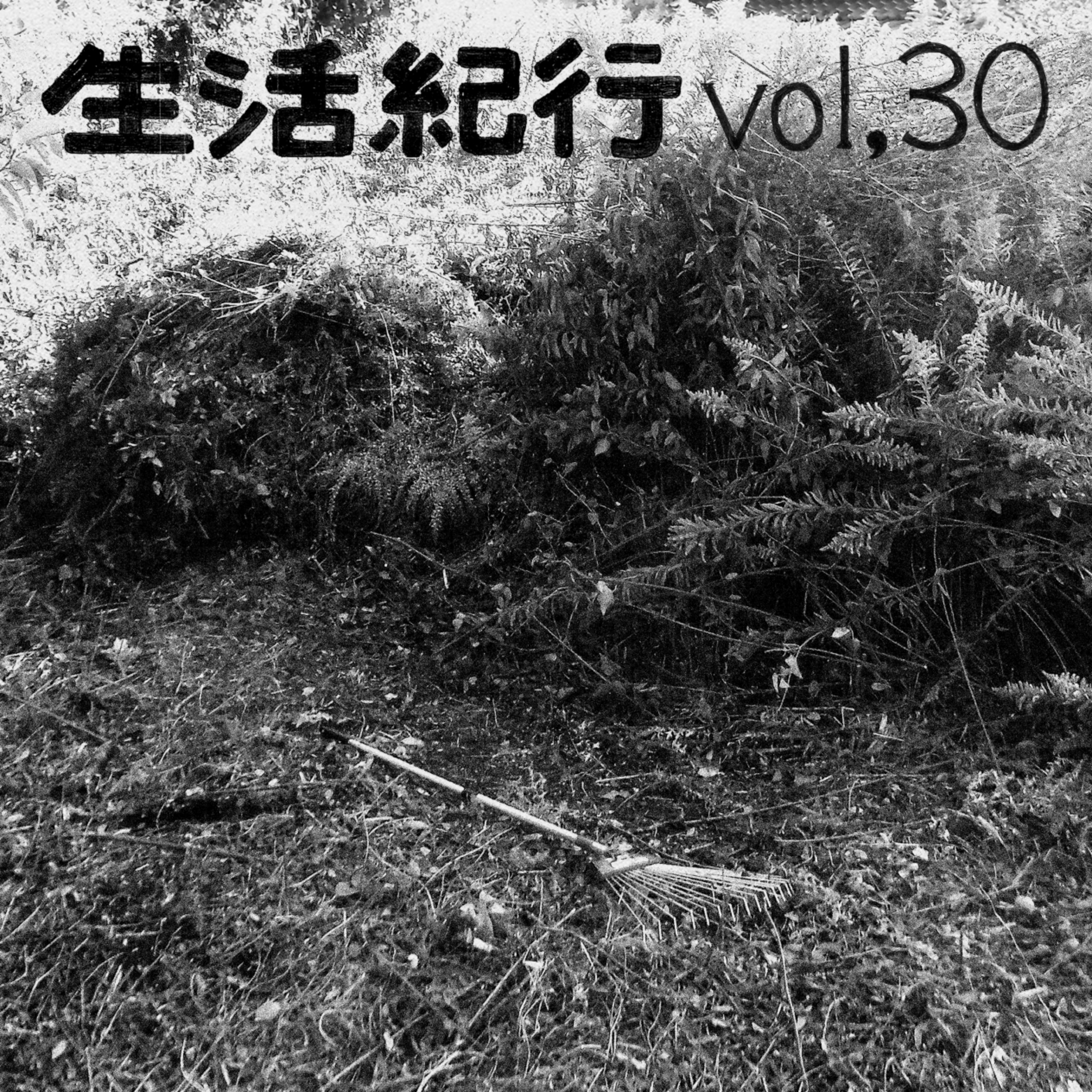 vol.30