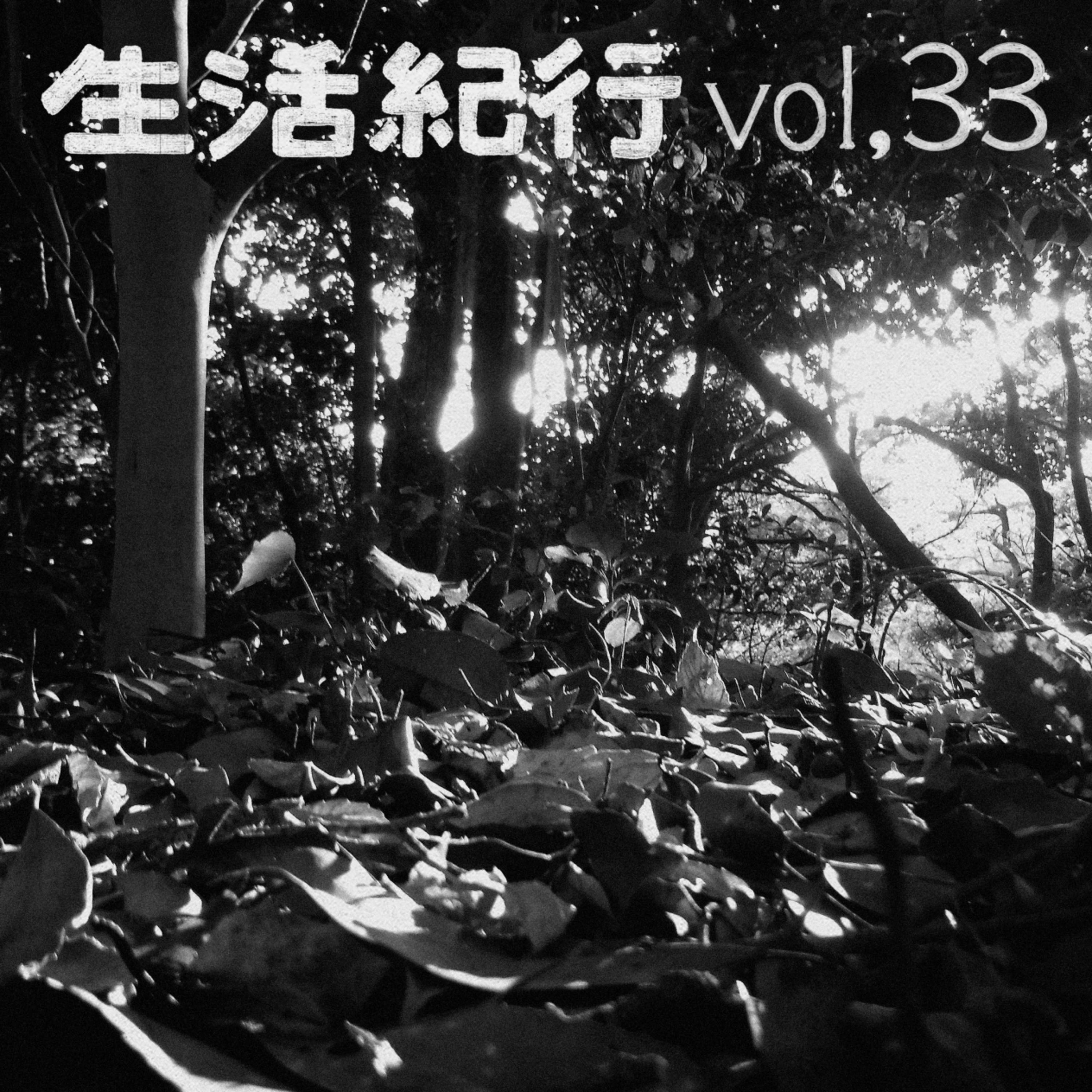 vol.33 episode artwork