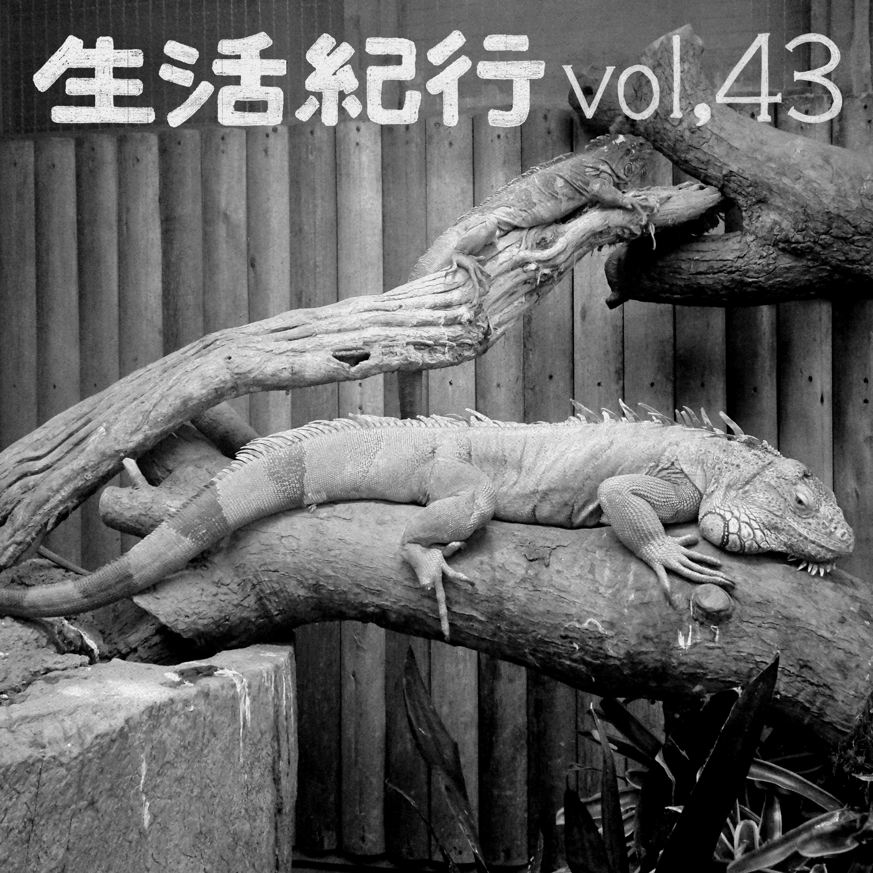 vol.43 episode artwork