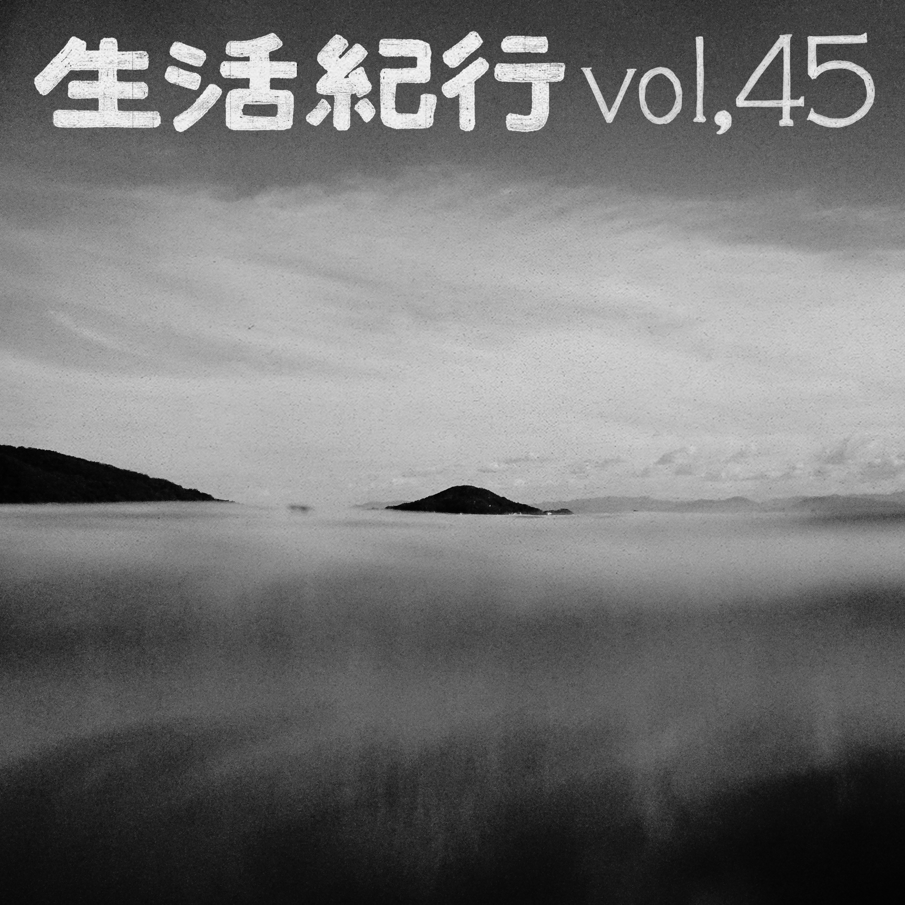 vol.45 episode artwork