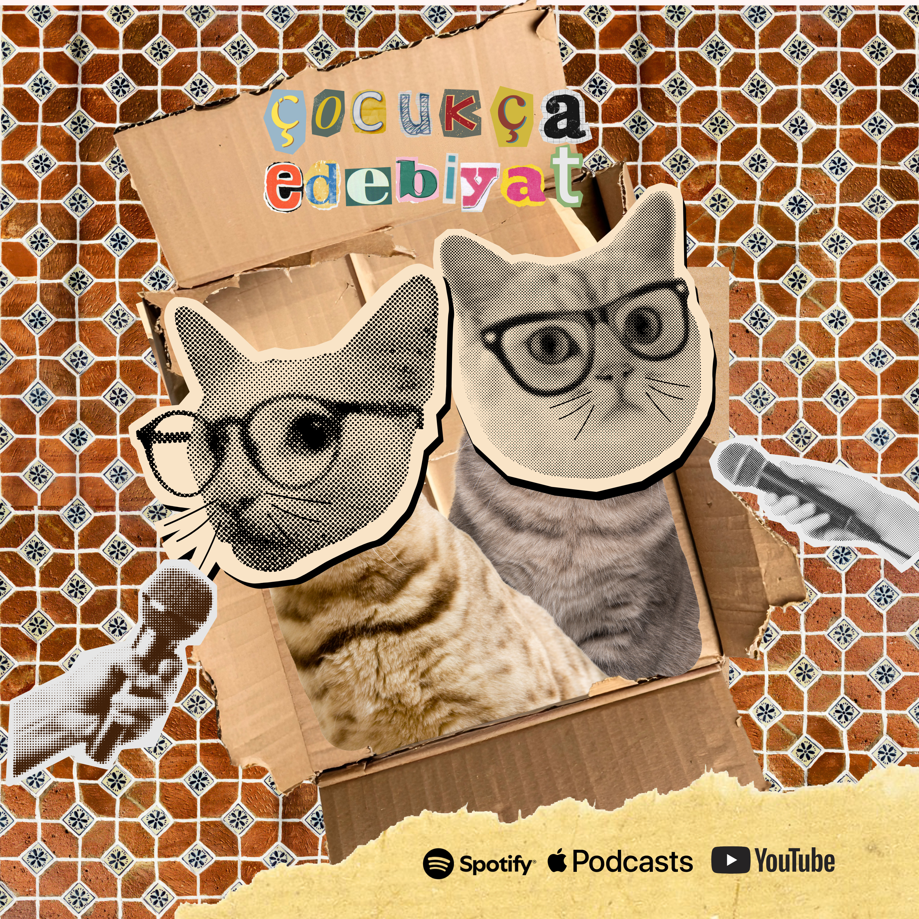 Kediler ve Diğer Büyük Meseleler episode artwork
