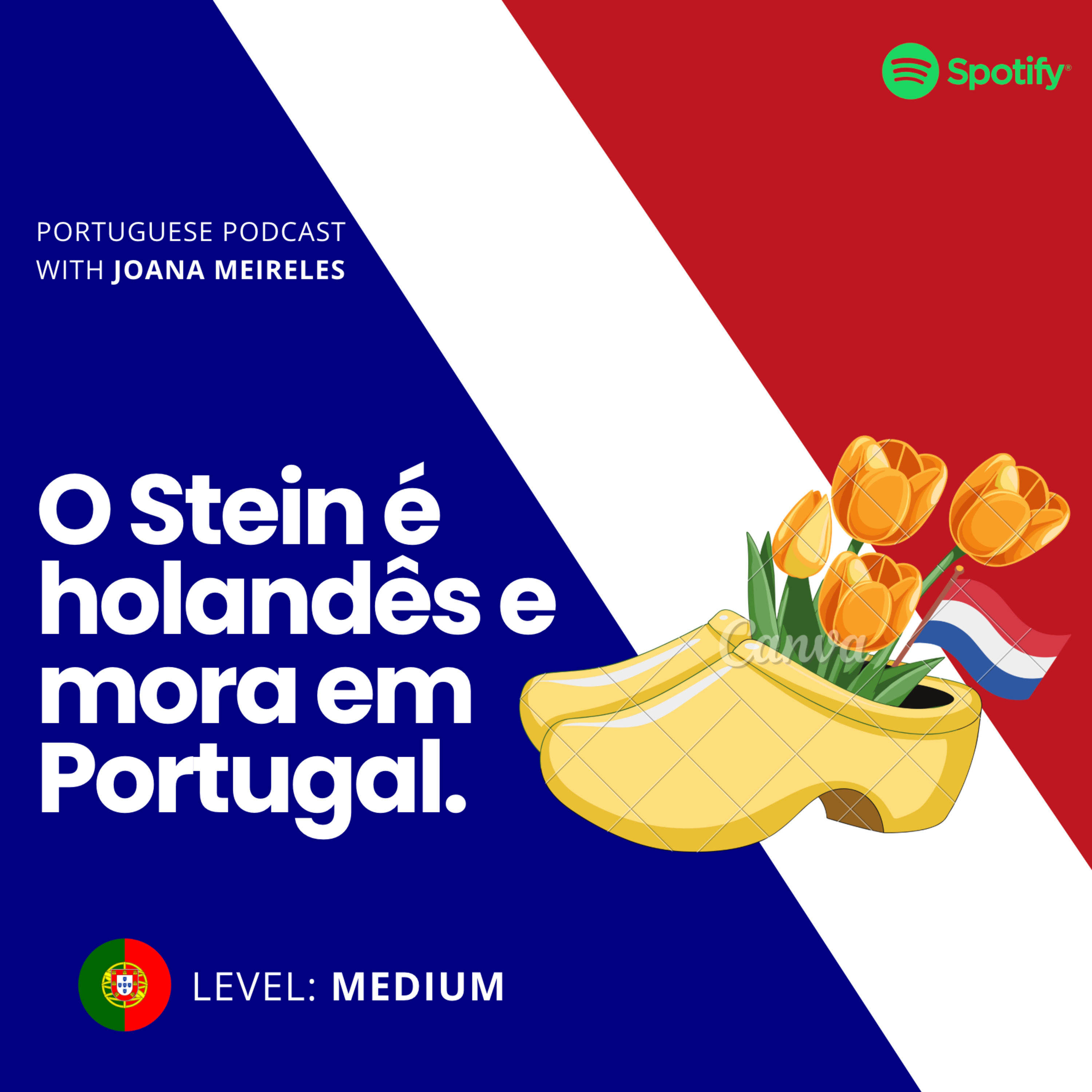 O Stein é holandês e mora em Portugal. episode artwork
