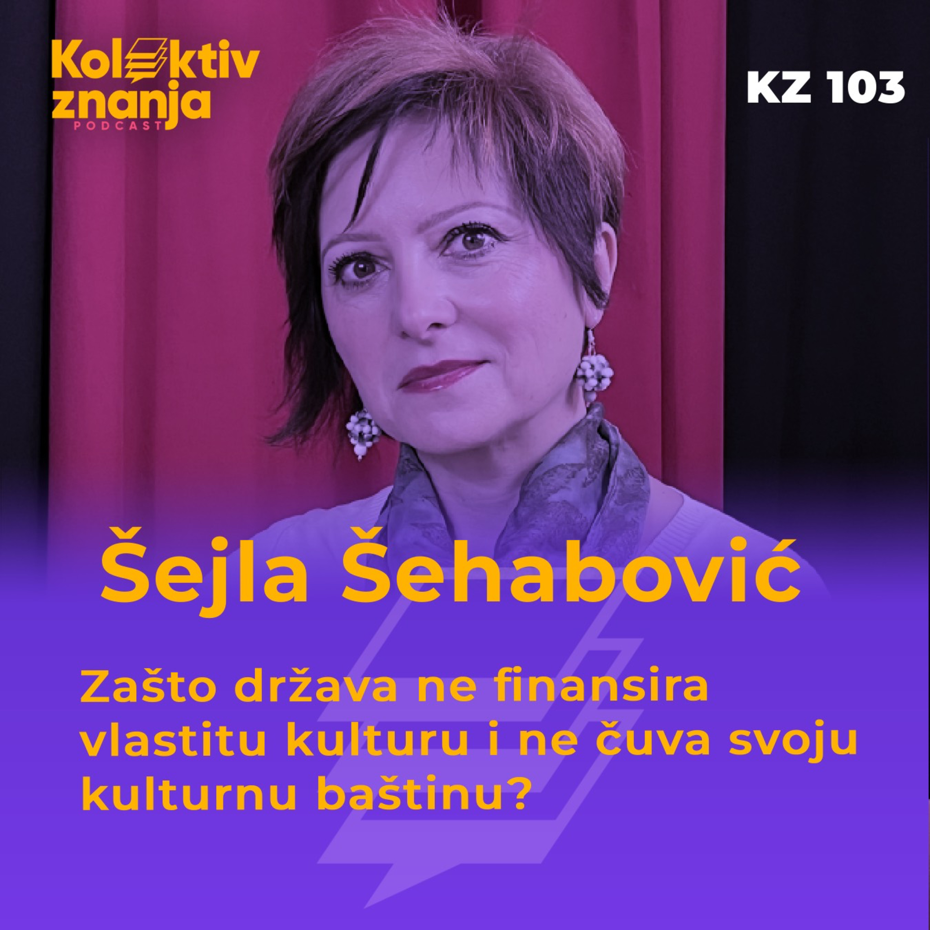 Šejla Šehabović: Zašto država ne finansira vlastitu kulturu i ne čuva svoju kulturnu baštinu? |103