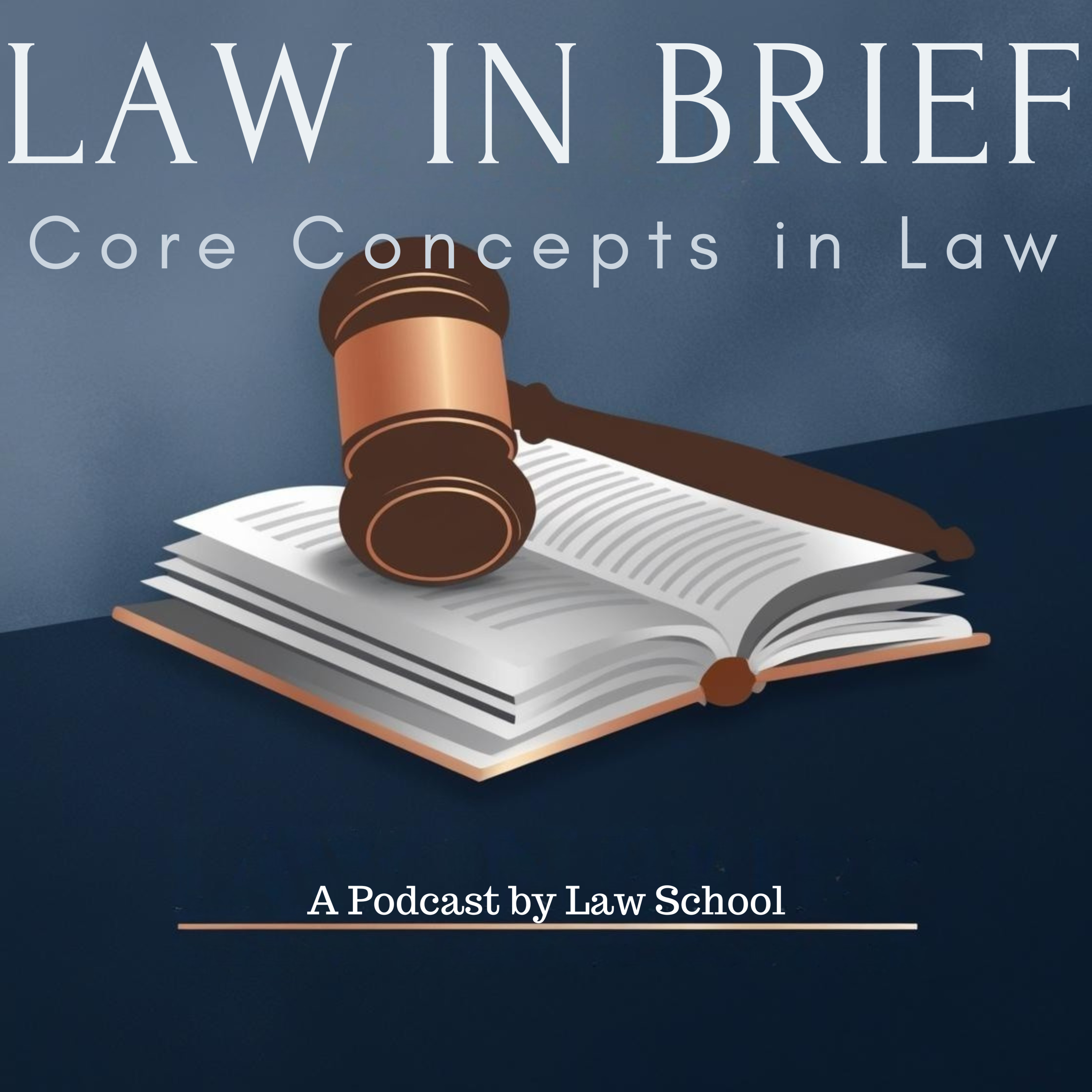 Tort Law Hornbook Session 2 of 3: Liability and Specialized Areas