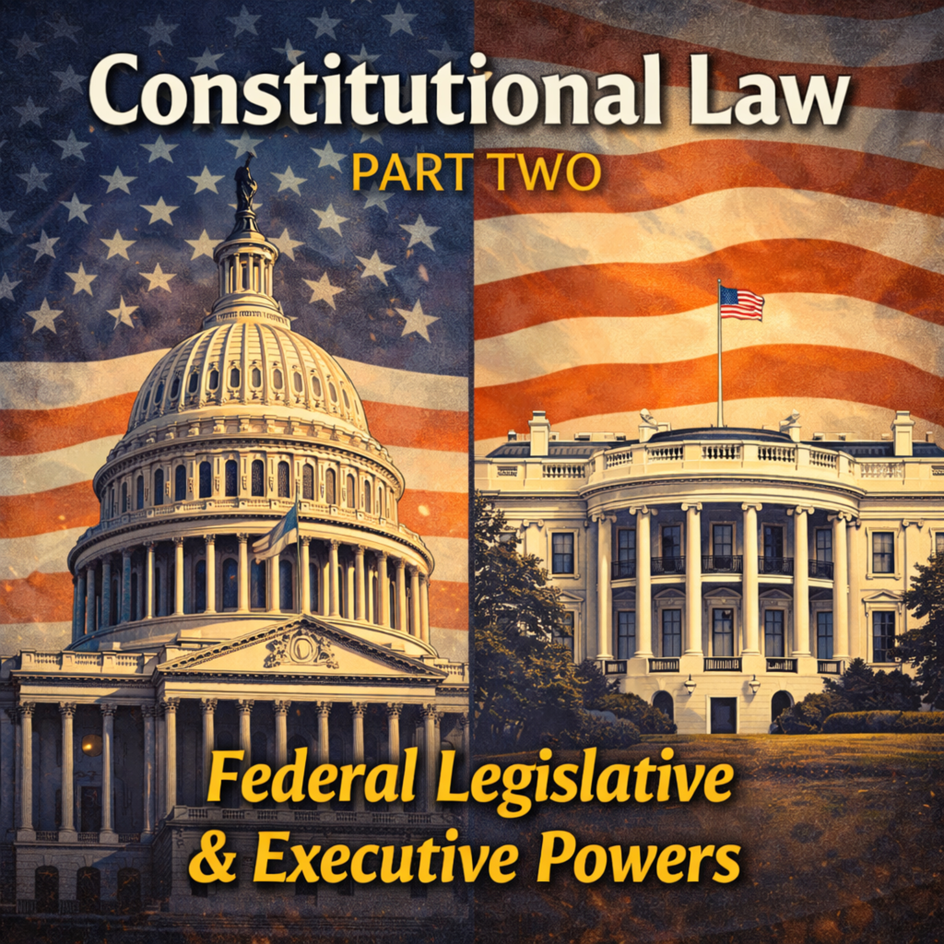 Constitutional Law Part Two: Federal Legislative & Executive Powers