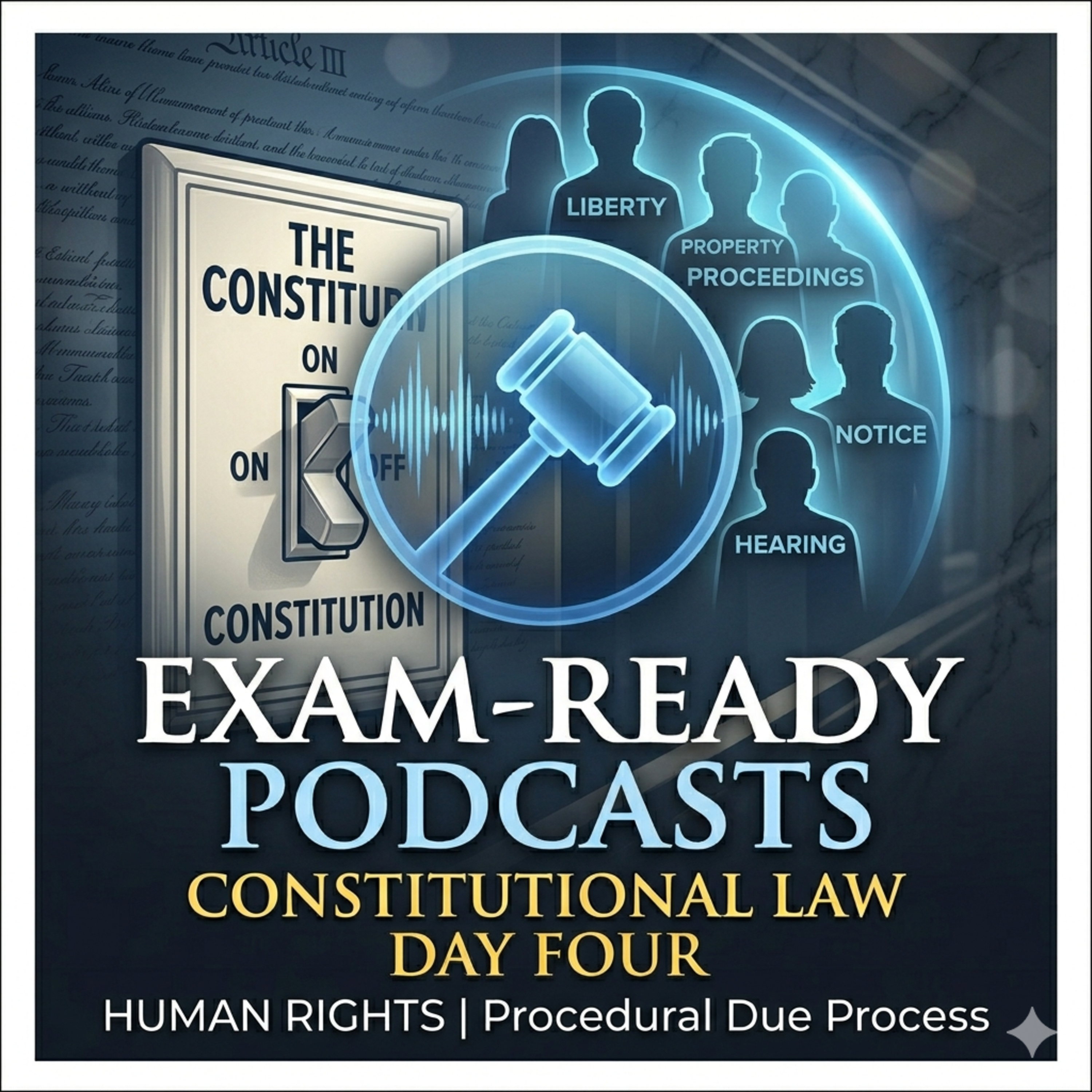 Constitution Law Part Four: State Action and the Framework of Individual Rights