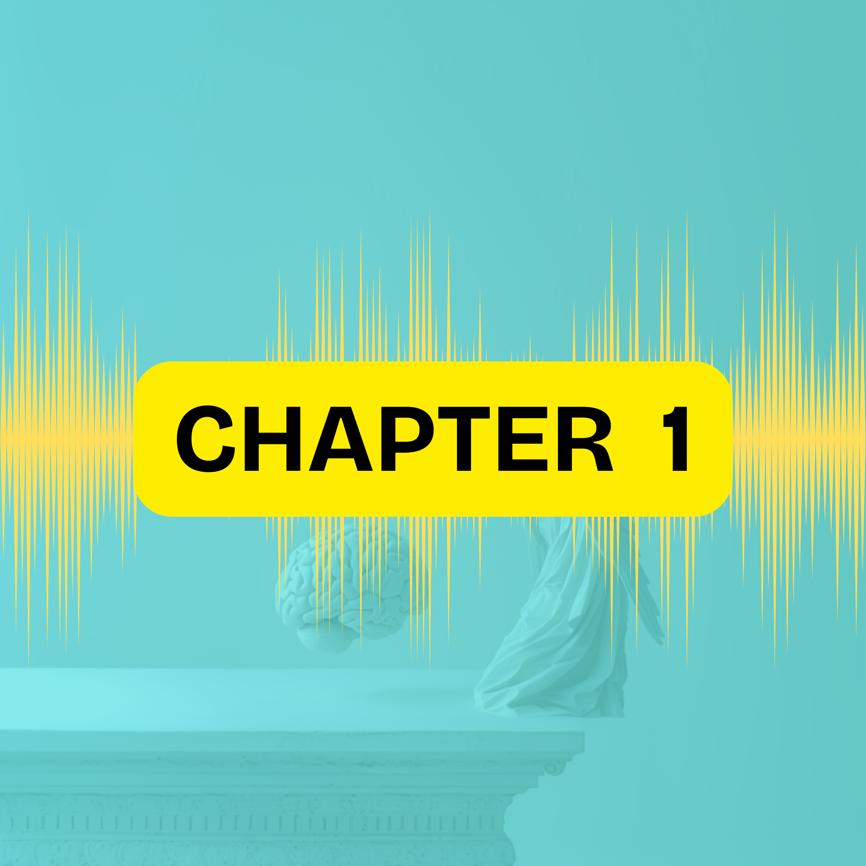 Audiobook \