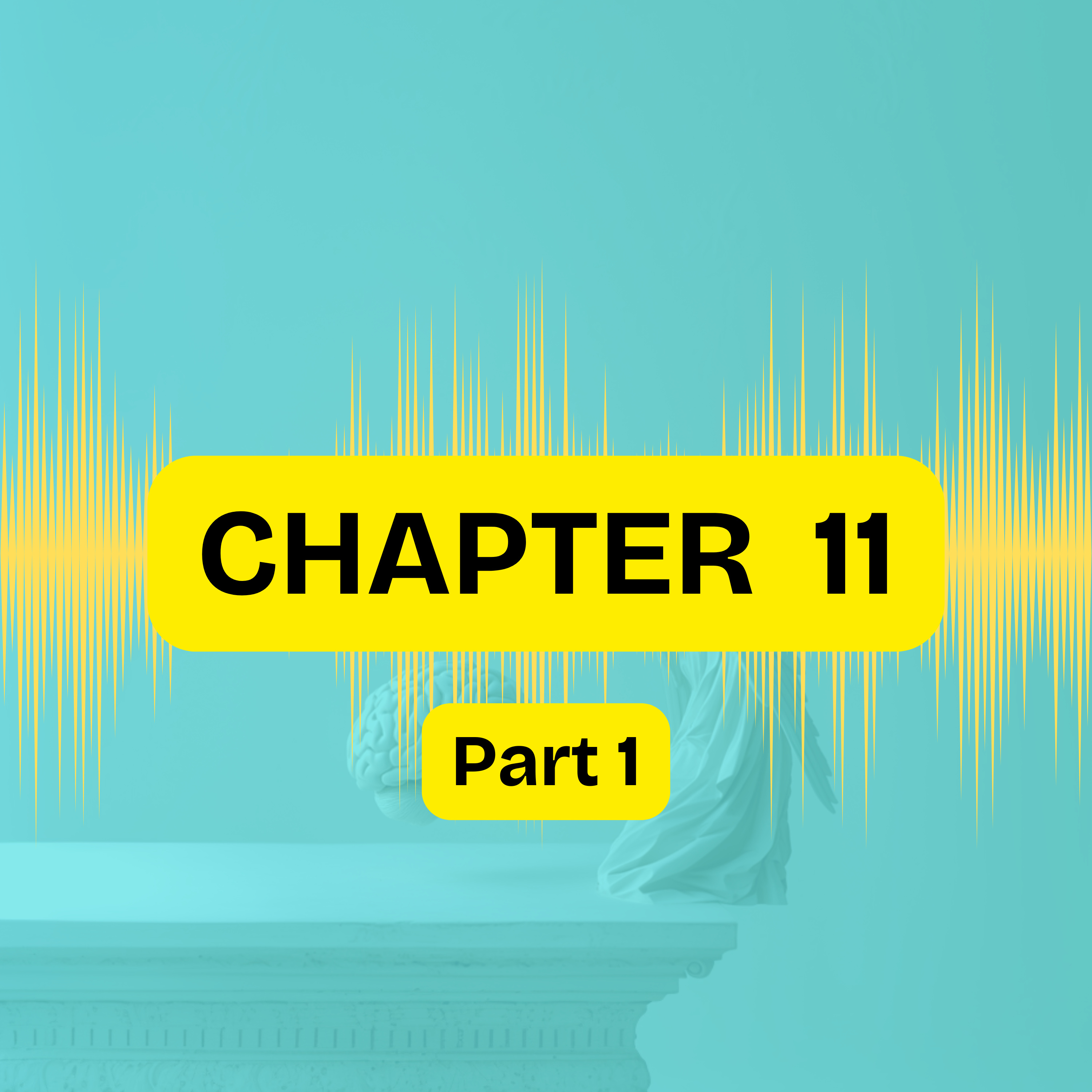 Audiobook \