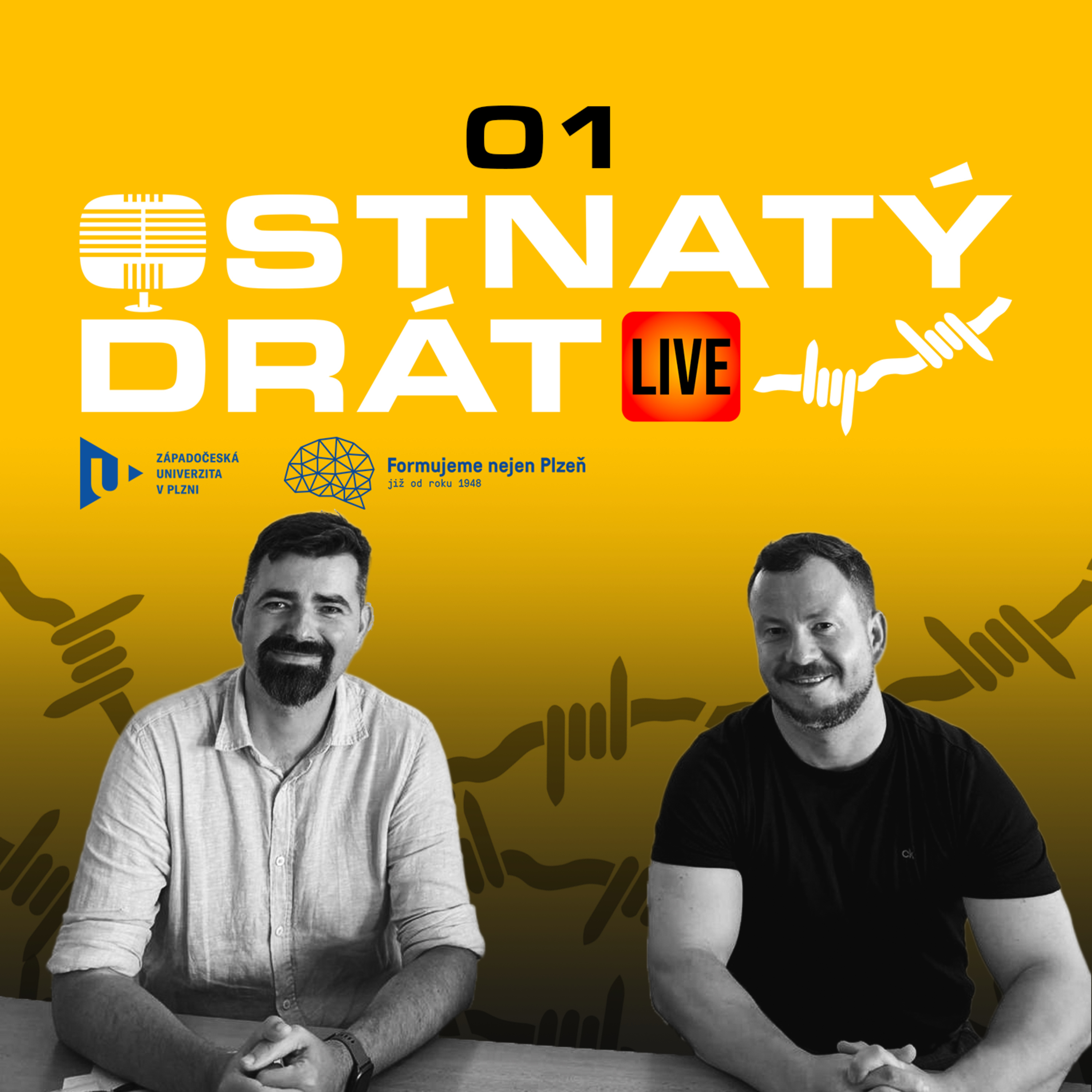 Ostnatý drát
