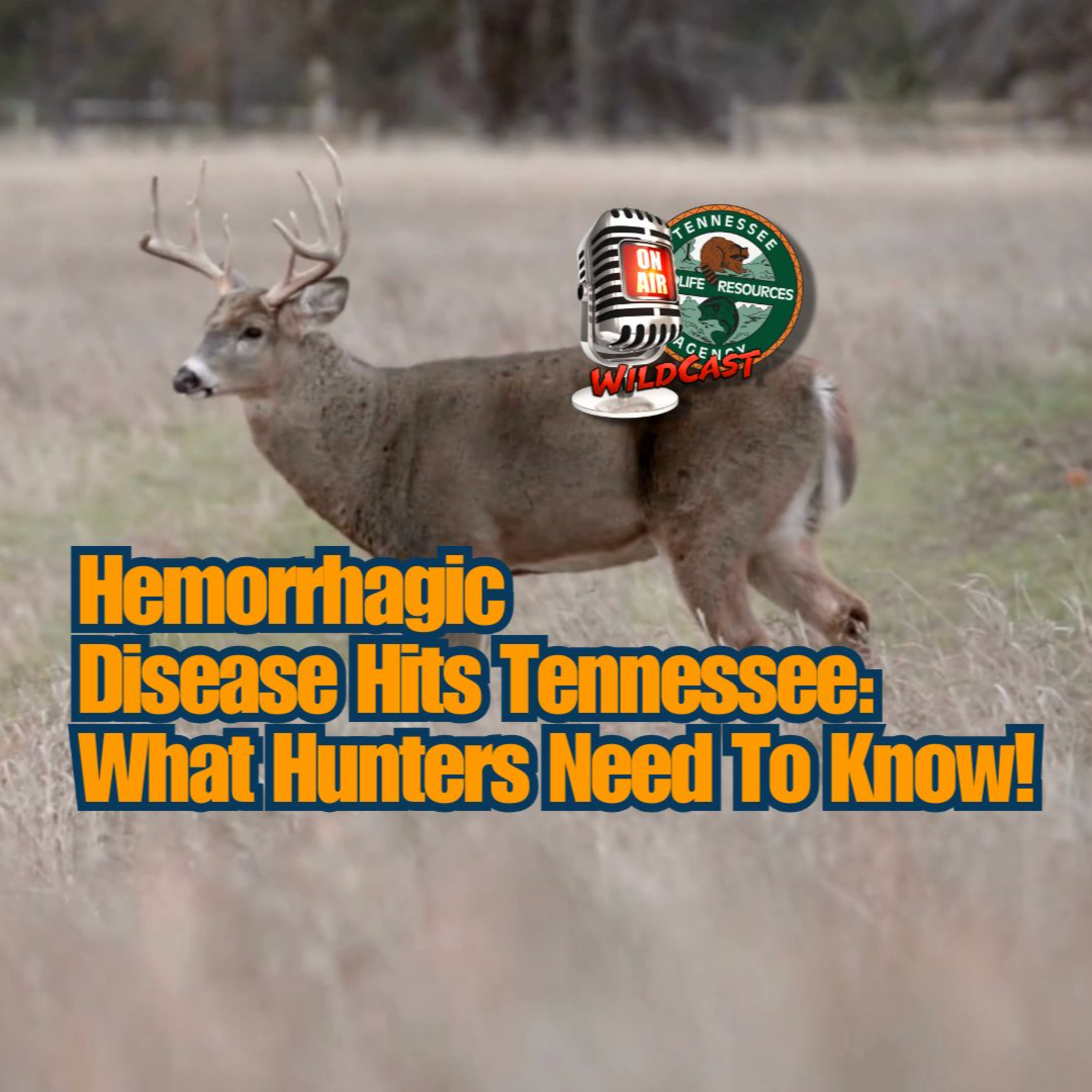 TW 447 - Hemorrhagic Disease Hits Tennessee: What Hunters Need To Know! episode artwork