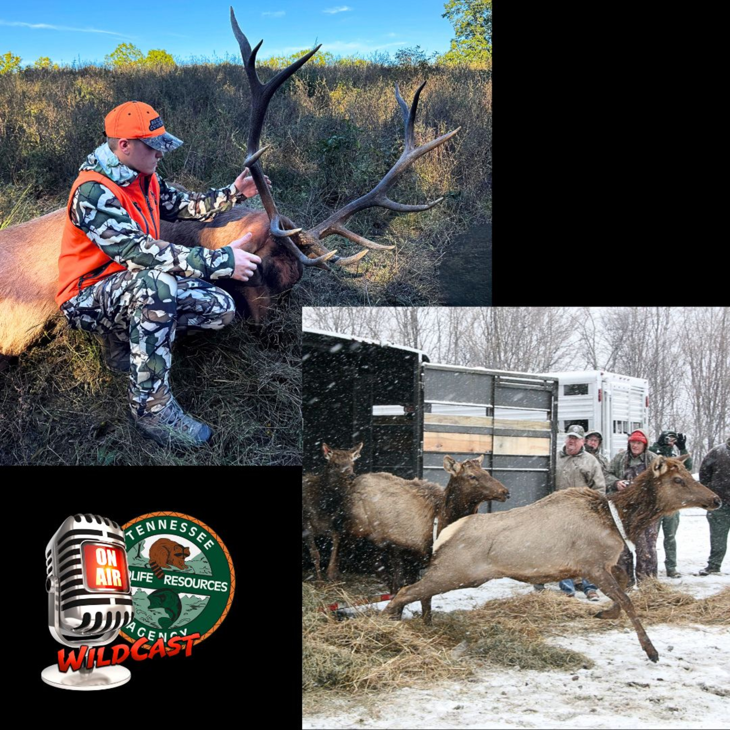#458 Youth Elk Hunt for Red October, Celebrating 25 Years of Elk Restoration episode artwork