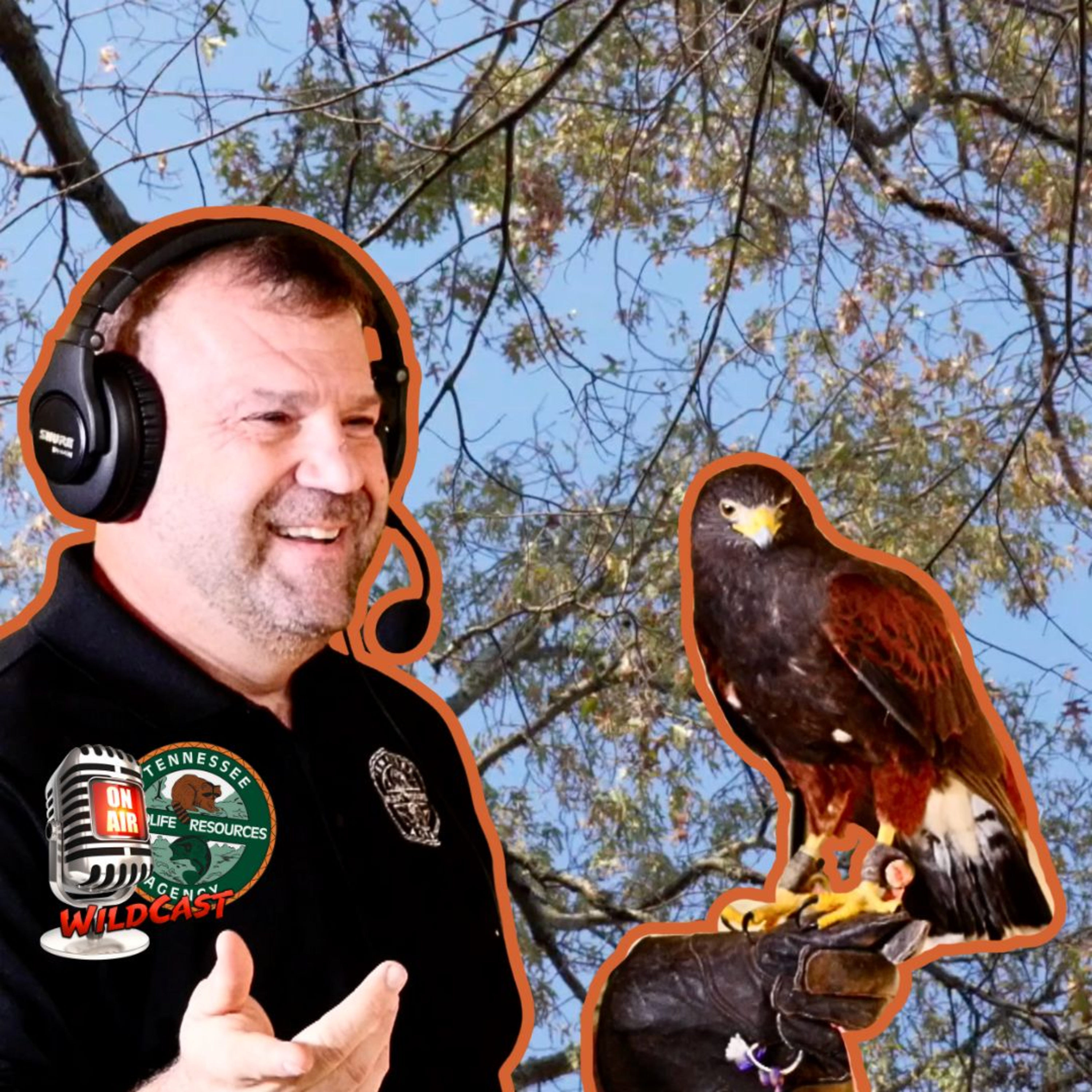 #462 The Ultimate Bird Hunting Sport: Discover the Thrilling World of Falconry