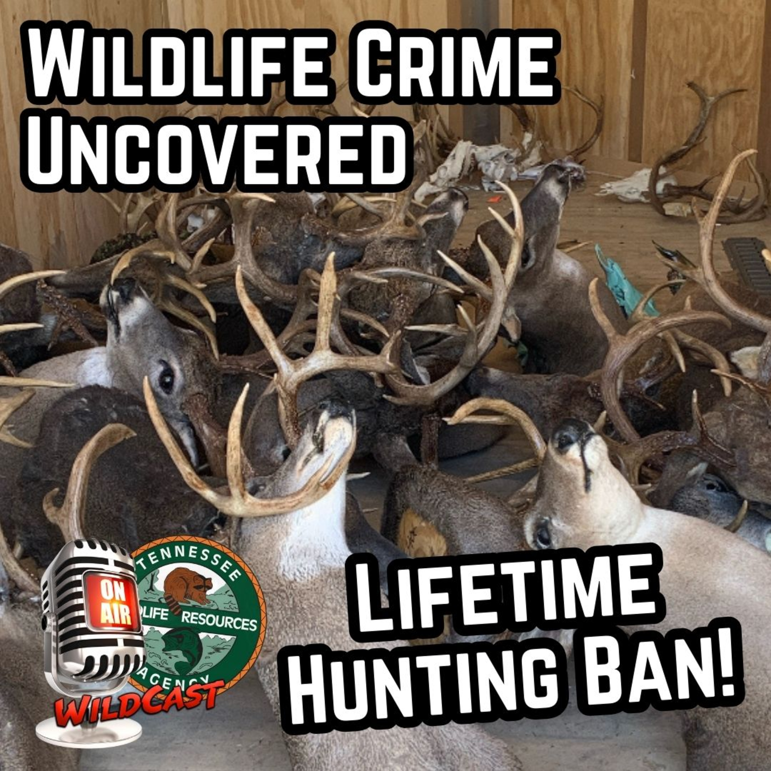#467 Wildlife Crime Uncovered: 50+ Deer Poached & Lifetime Hunting Ban!