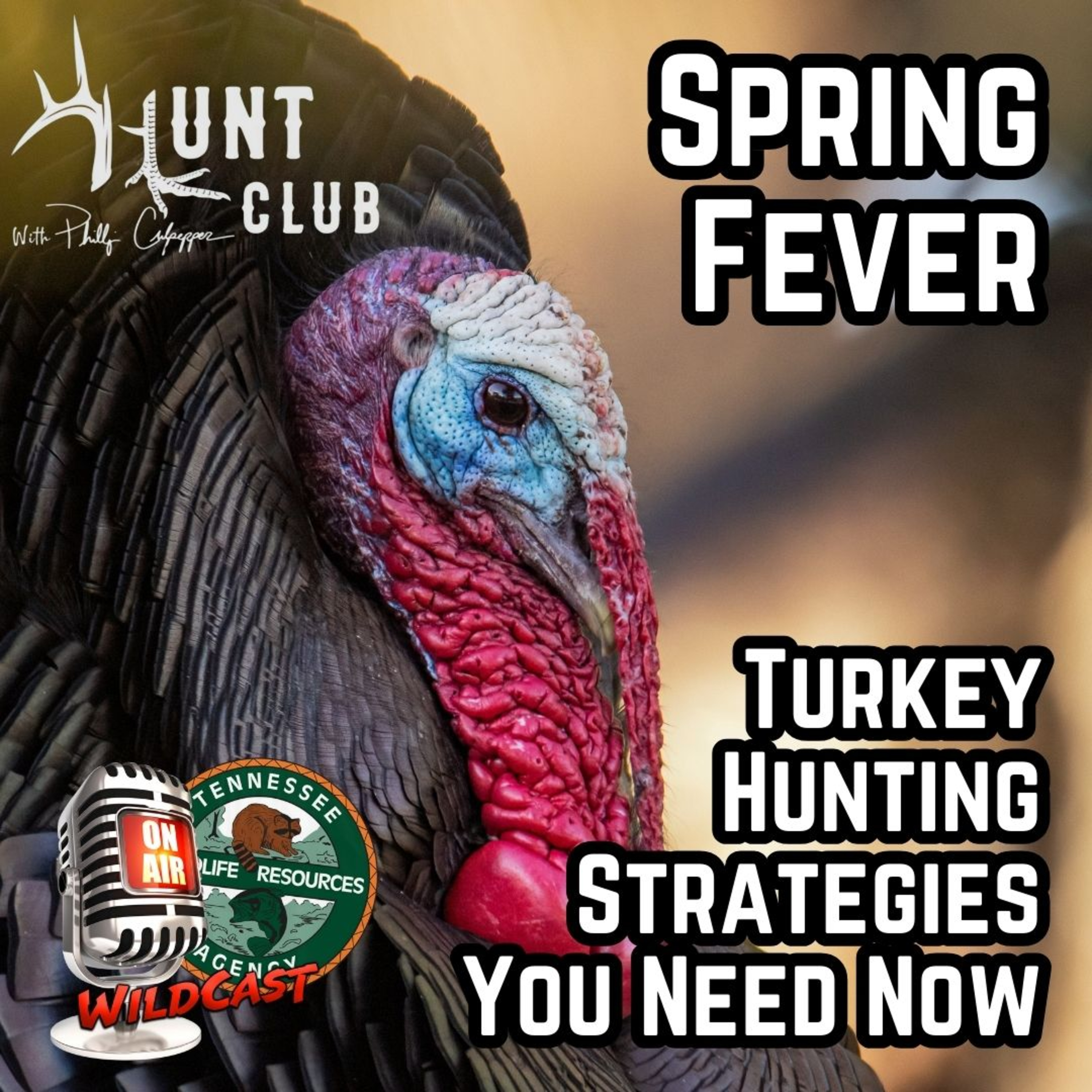 #468 Spring Fever: Turkey Hunting Strategies You Need Now