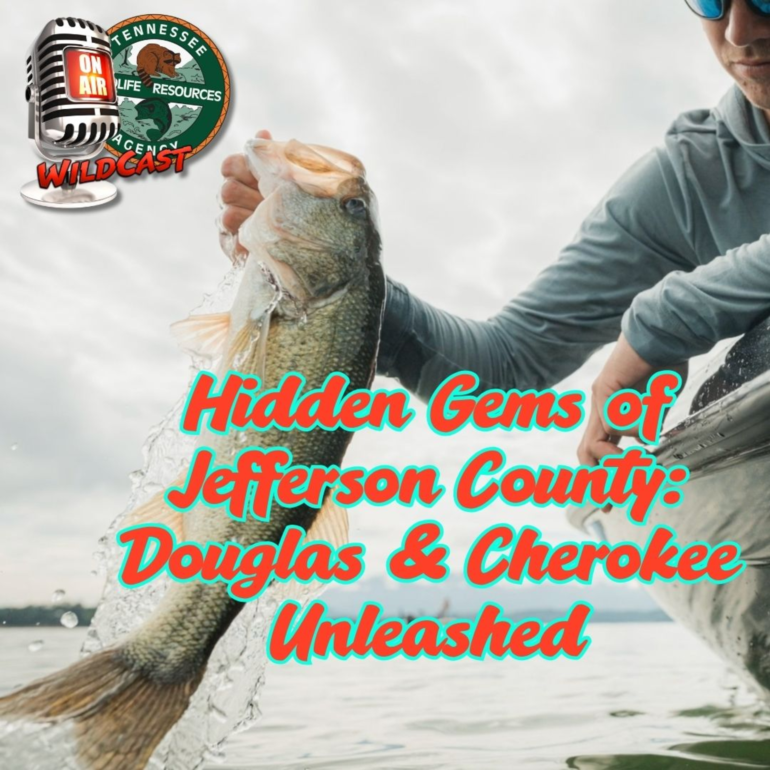 #488 Hidden Gems of Jefferson County: Douglas & Cherokee Unleashed episode artwork