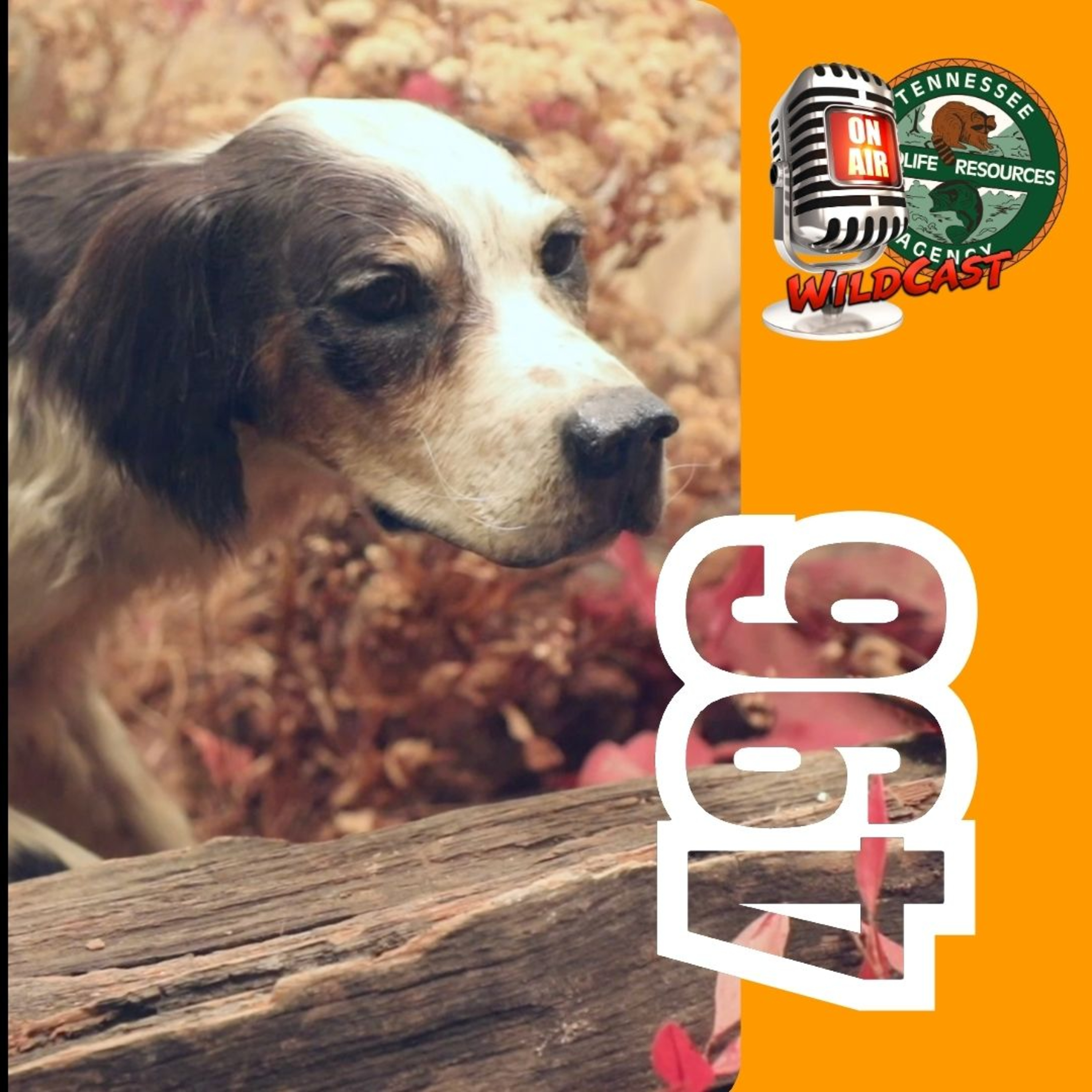 #496 National Bird Dog Museum: History, Heritage & Legendary Dogs episode artwork