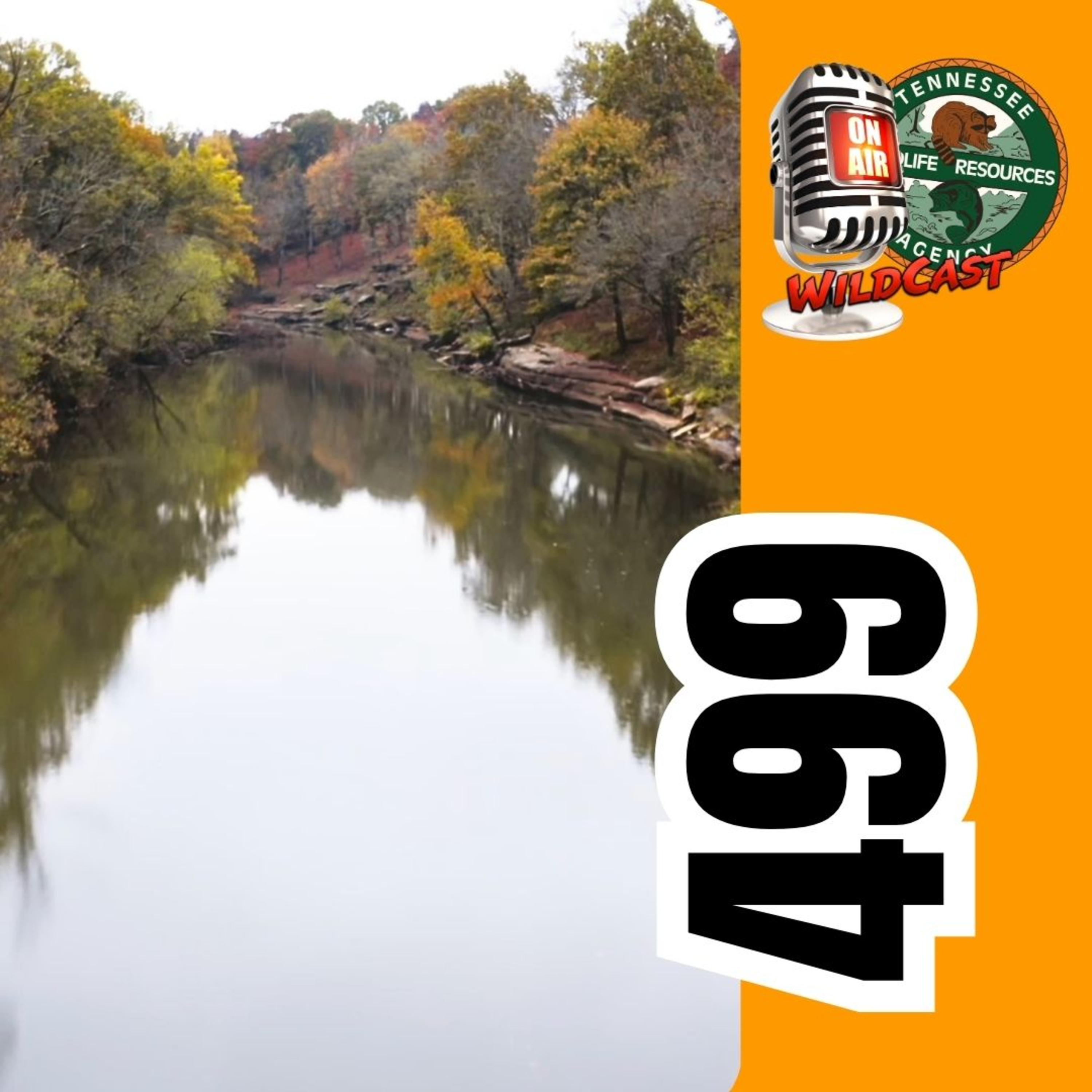 #499 Tennessee River Basin Network: Partners for the River’s Future