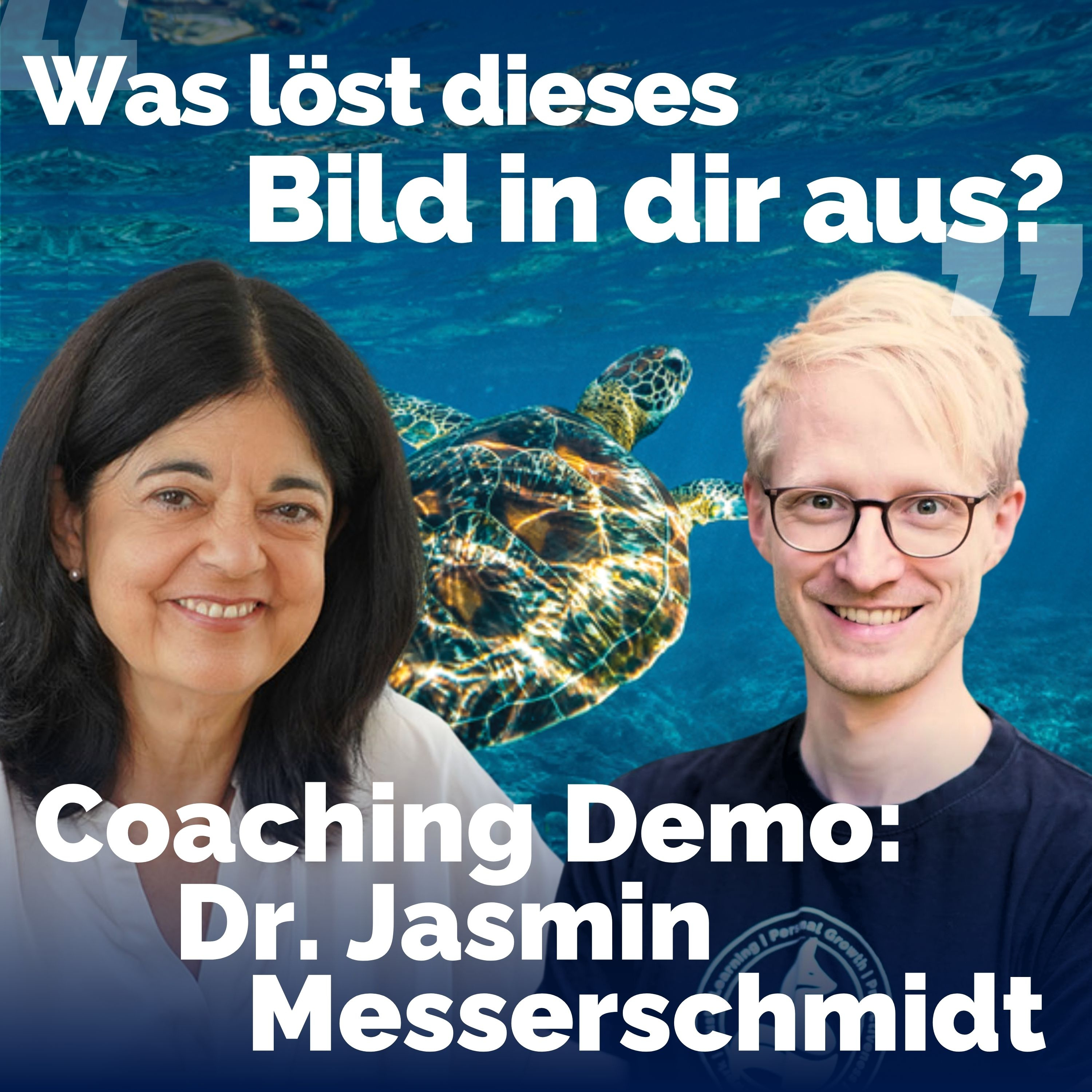 Coaching-Demo mit Dr. Jasmin Messerschmidt: Coaching mit Bildern & dem Zürcher Ressourcen Modell (ZRM) episode artwork