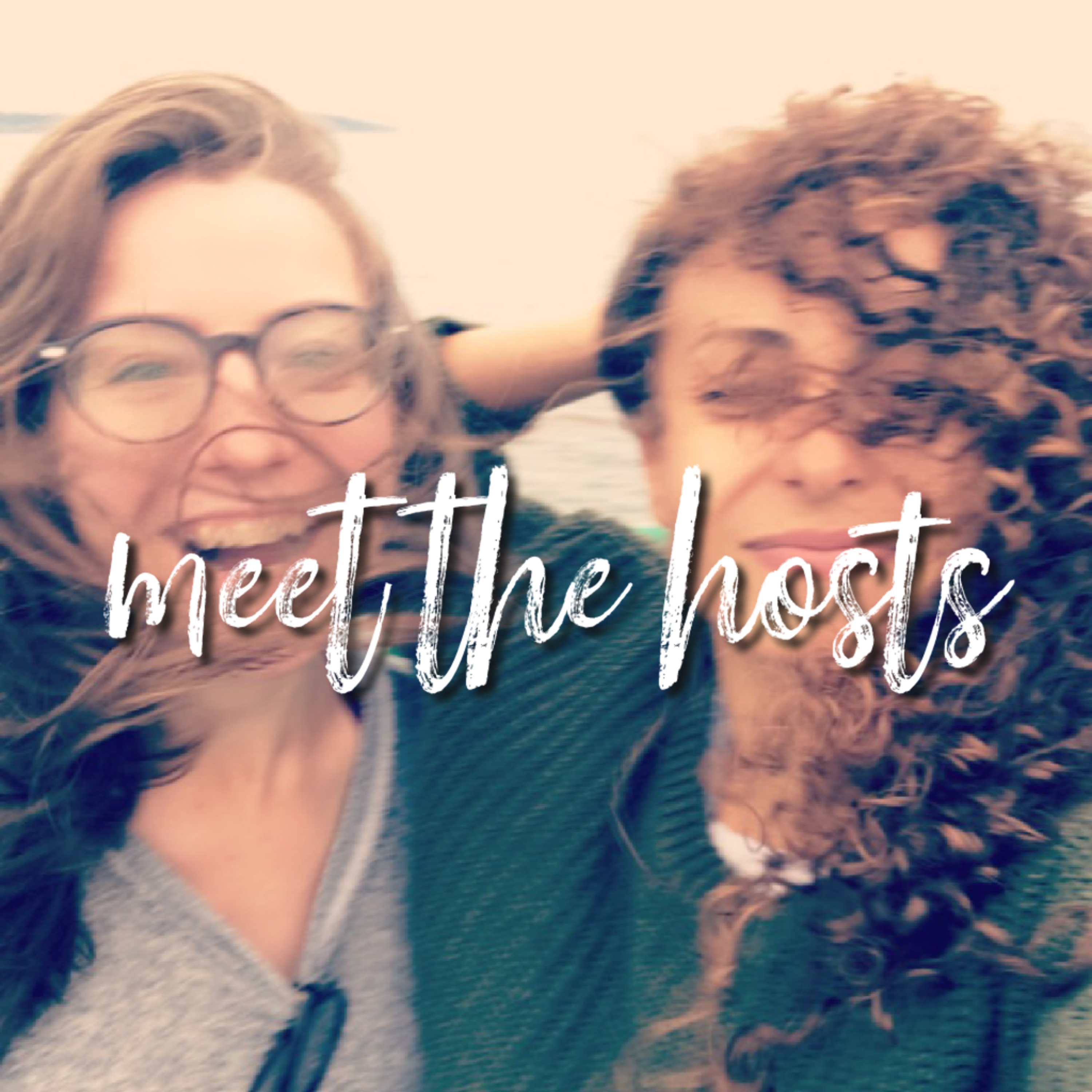 Meet the Hosts episode artwork