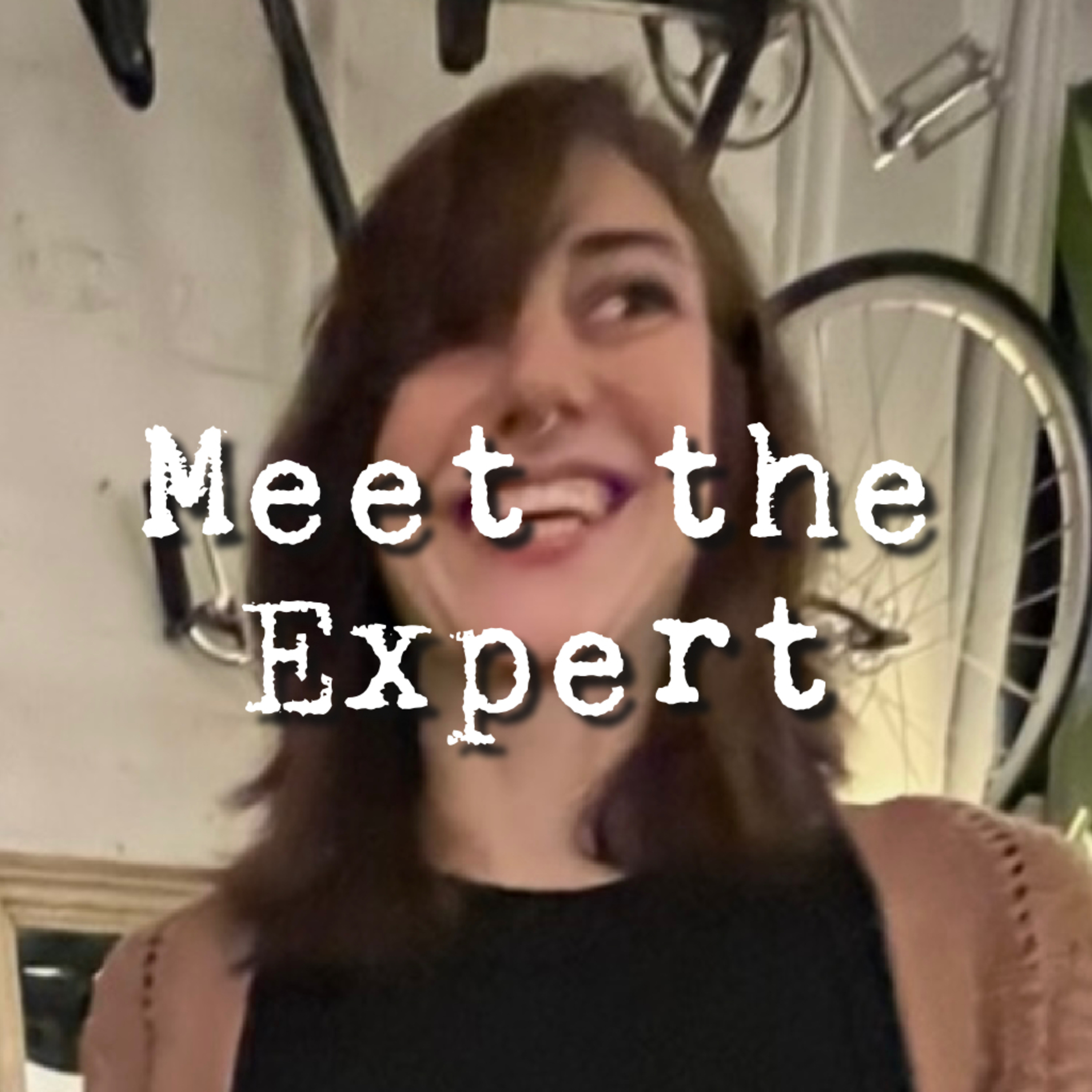 Meet the Expert, Part One episode artwork