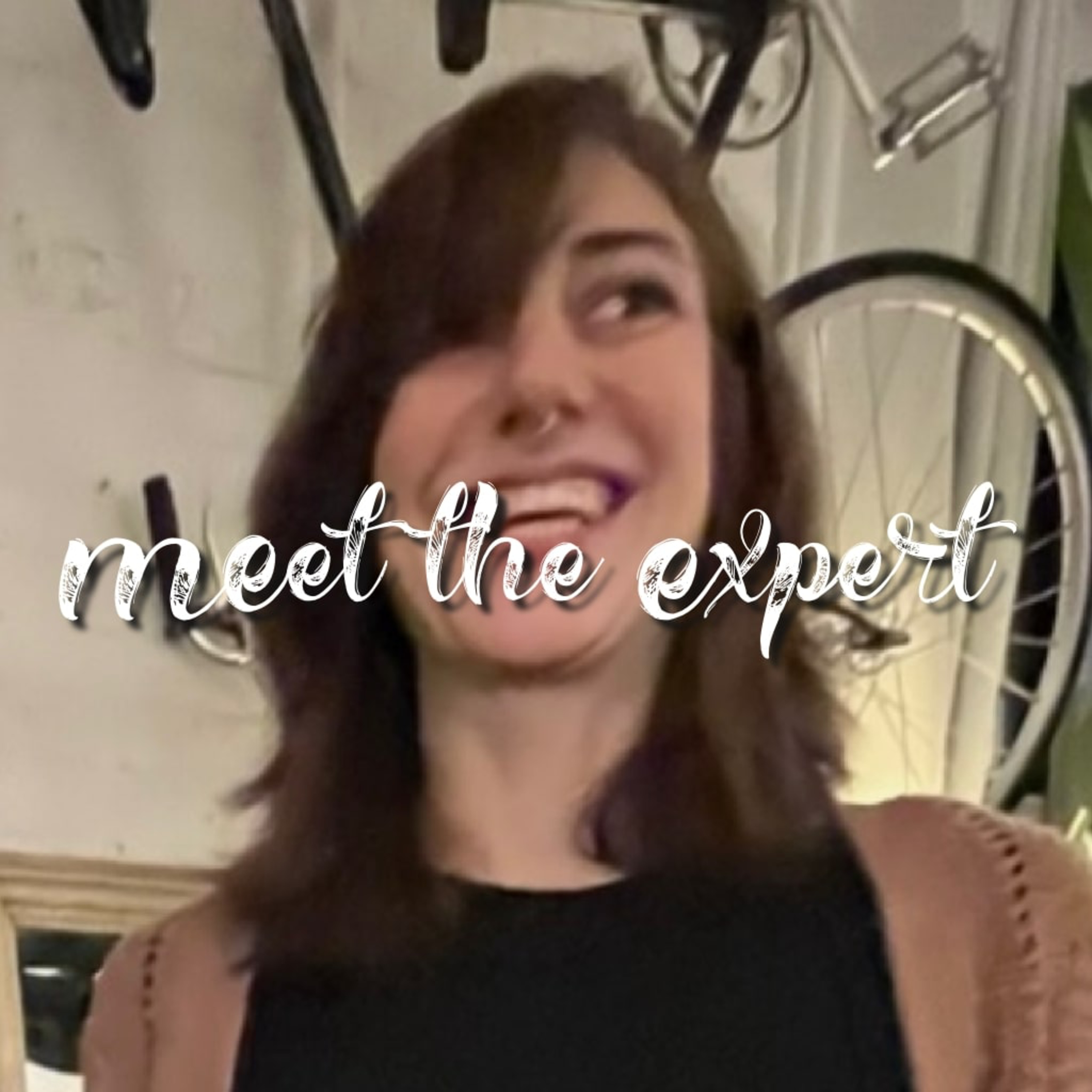 Meet the Expert, Part Two episode artwork