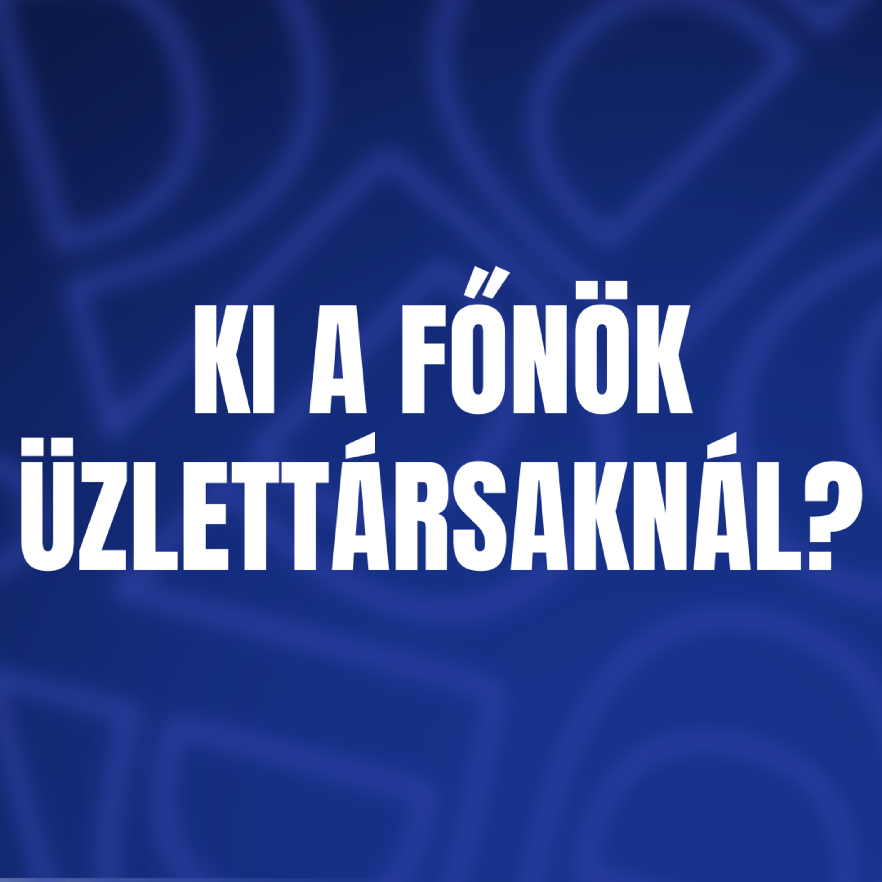 Ki a főnök Üzlettársaknál? episode artwork