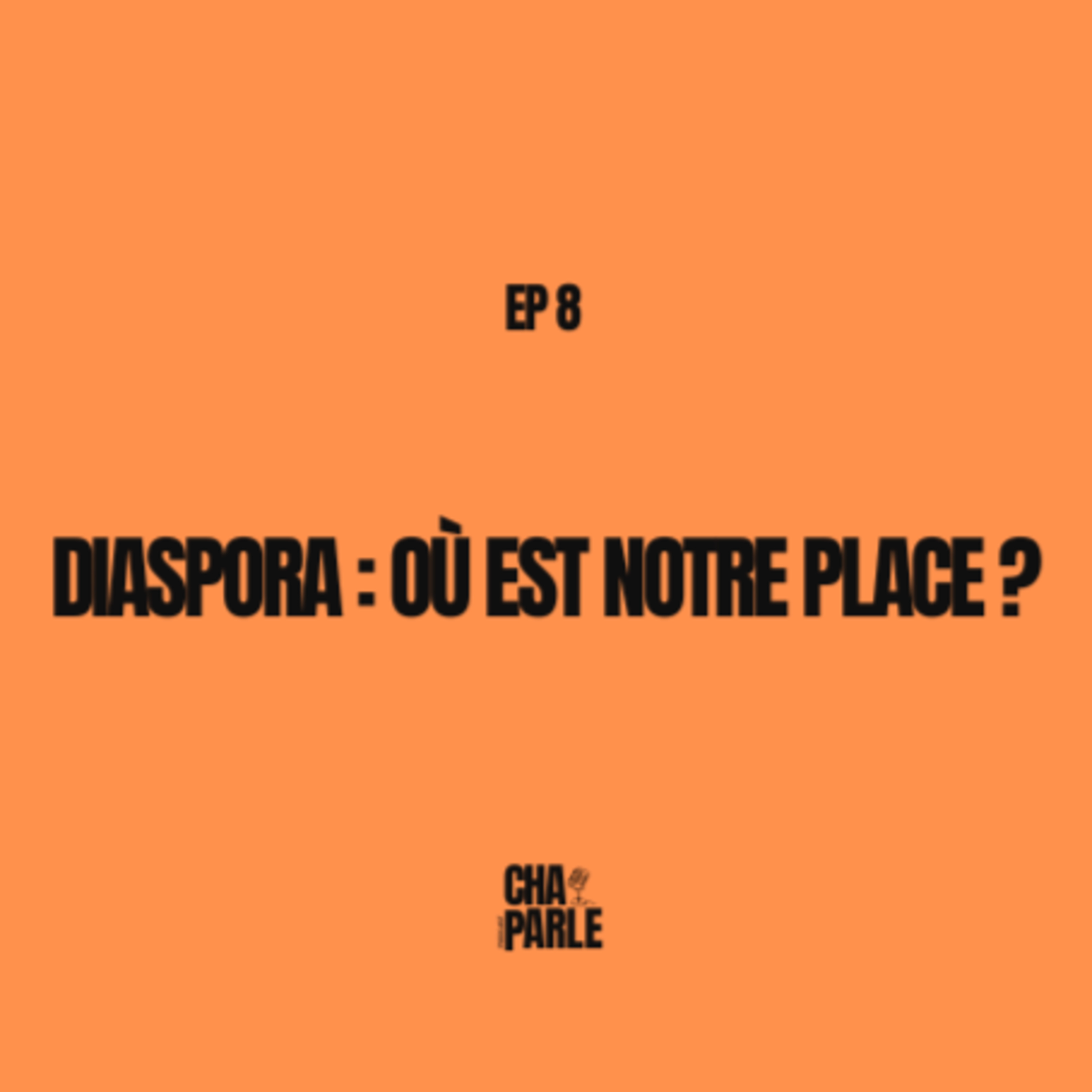 Diaspora : Où est notre place ? episode artwork