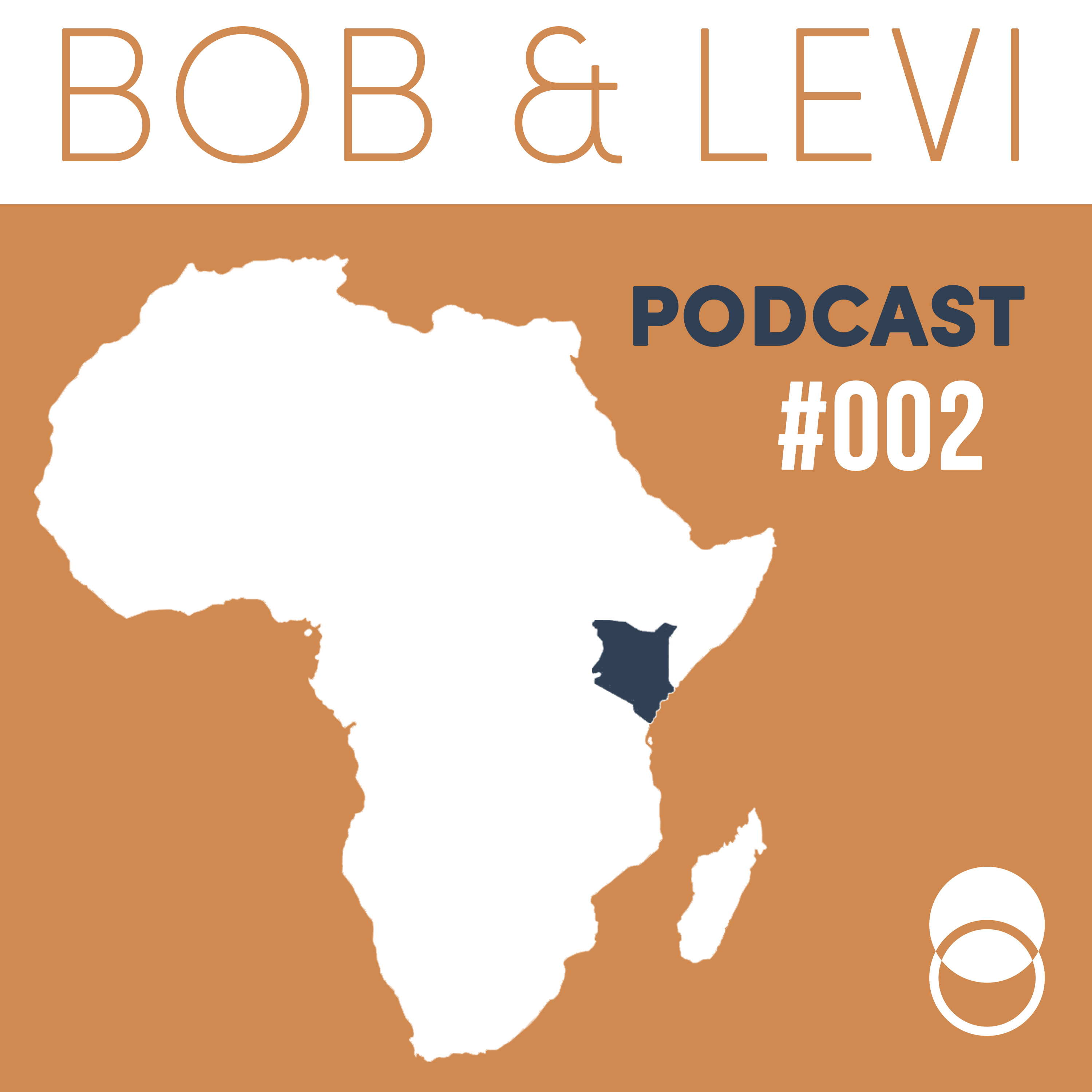 002 Bob and Levi Talk to Traci About Africa! episode artwork