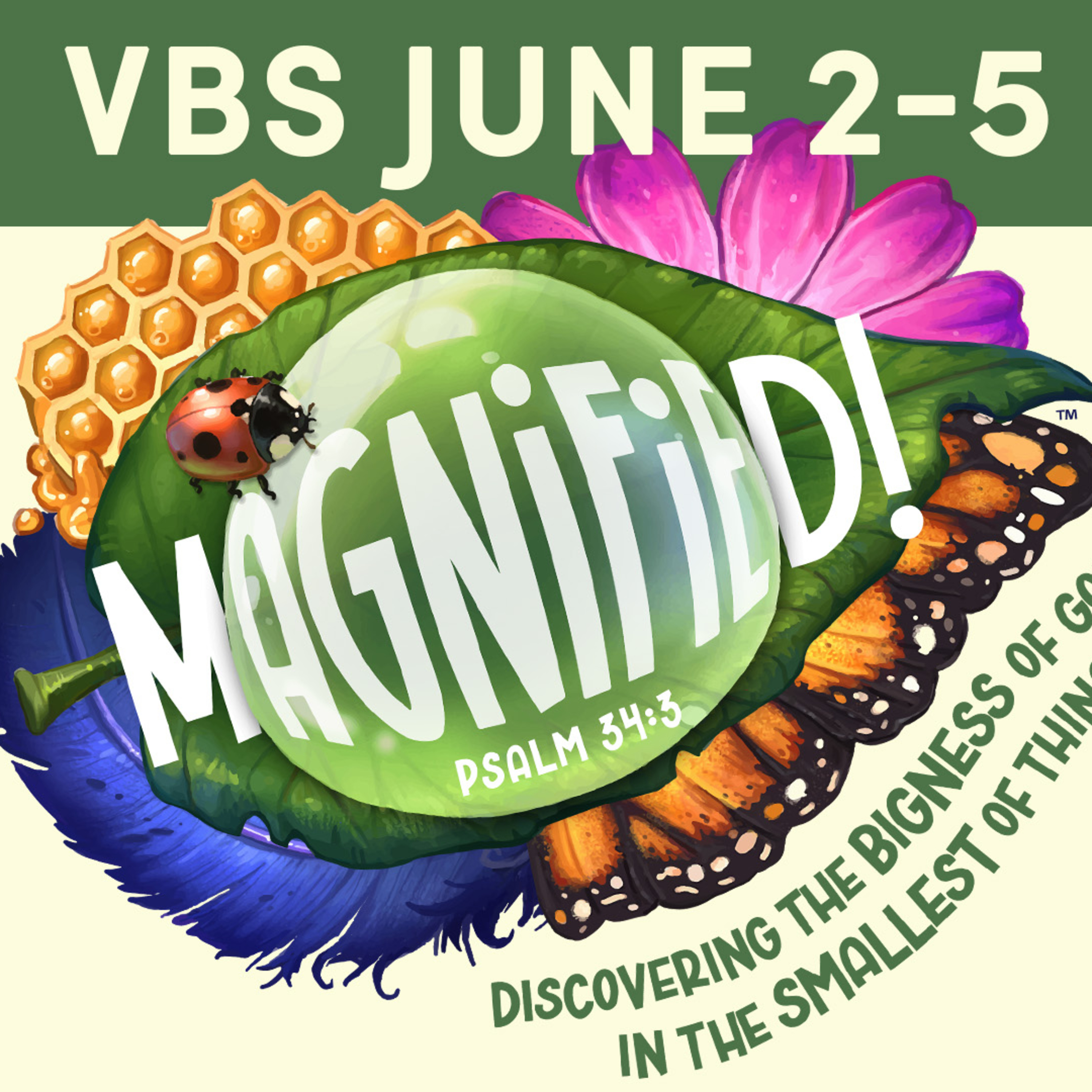 This Week at VBS!  episode artwork