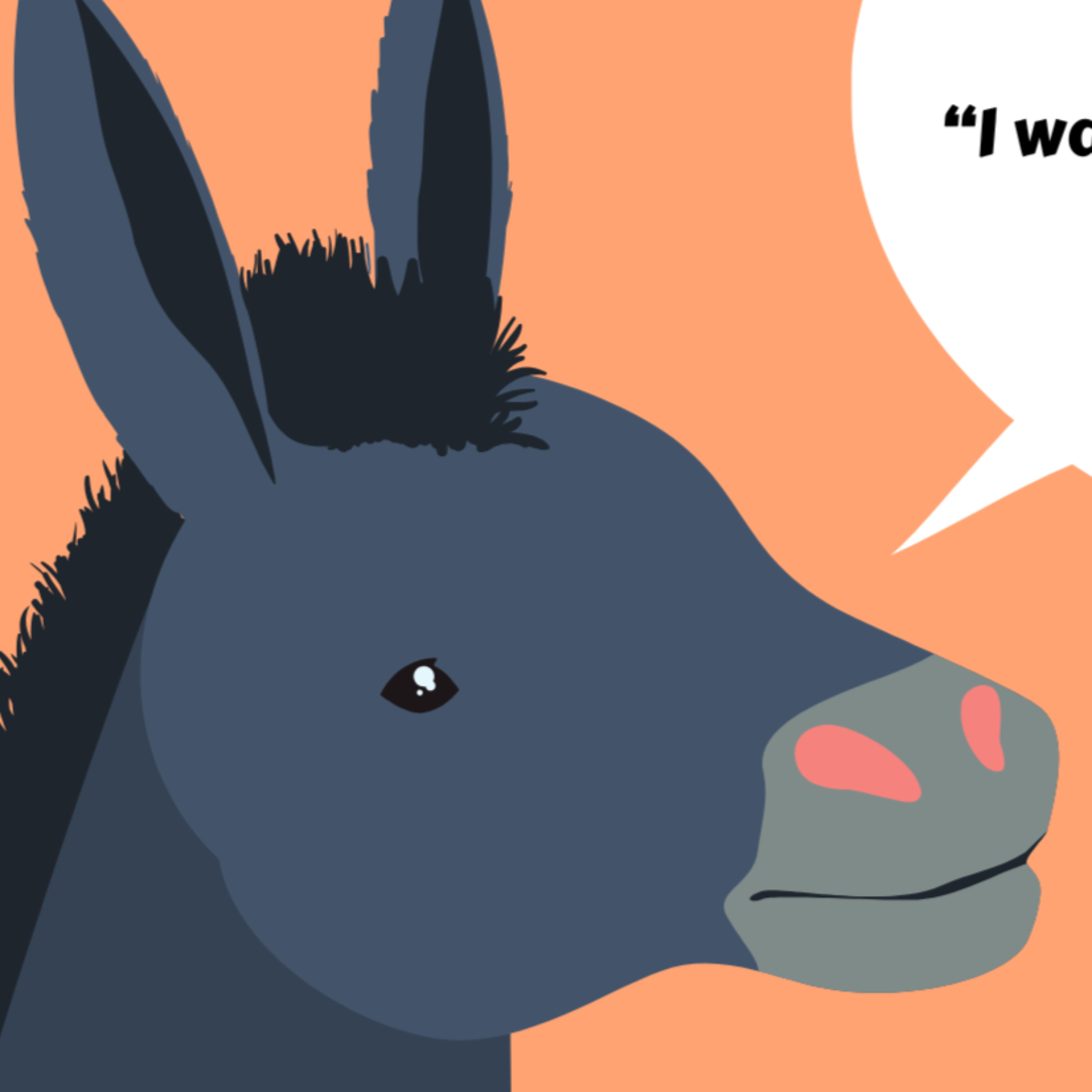 Talking Donkey
