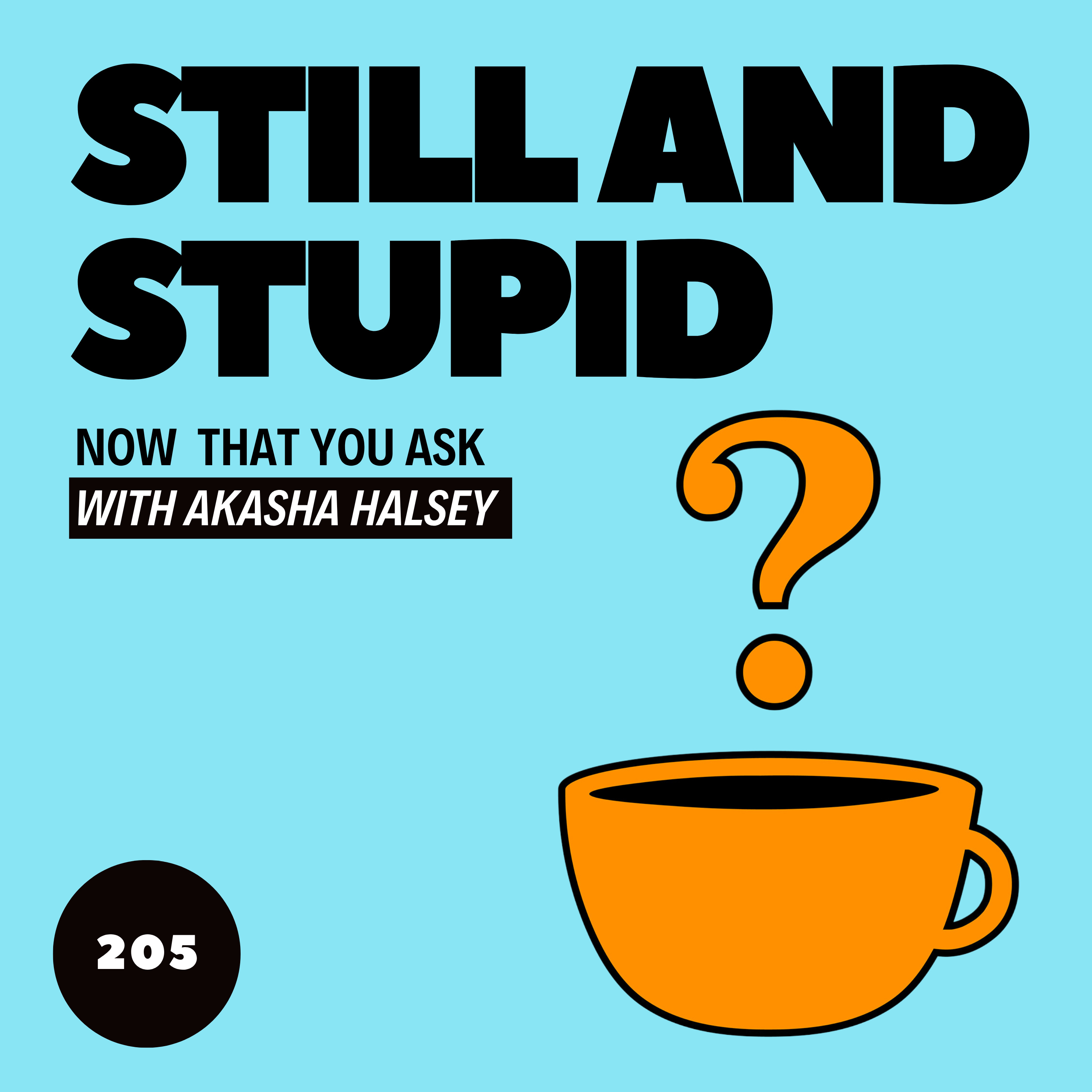 205. Still and Stupid episode artwork