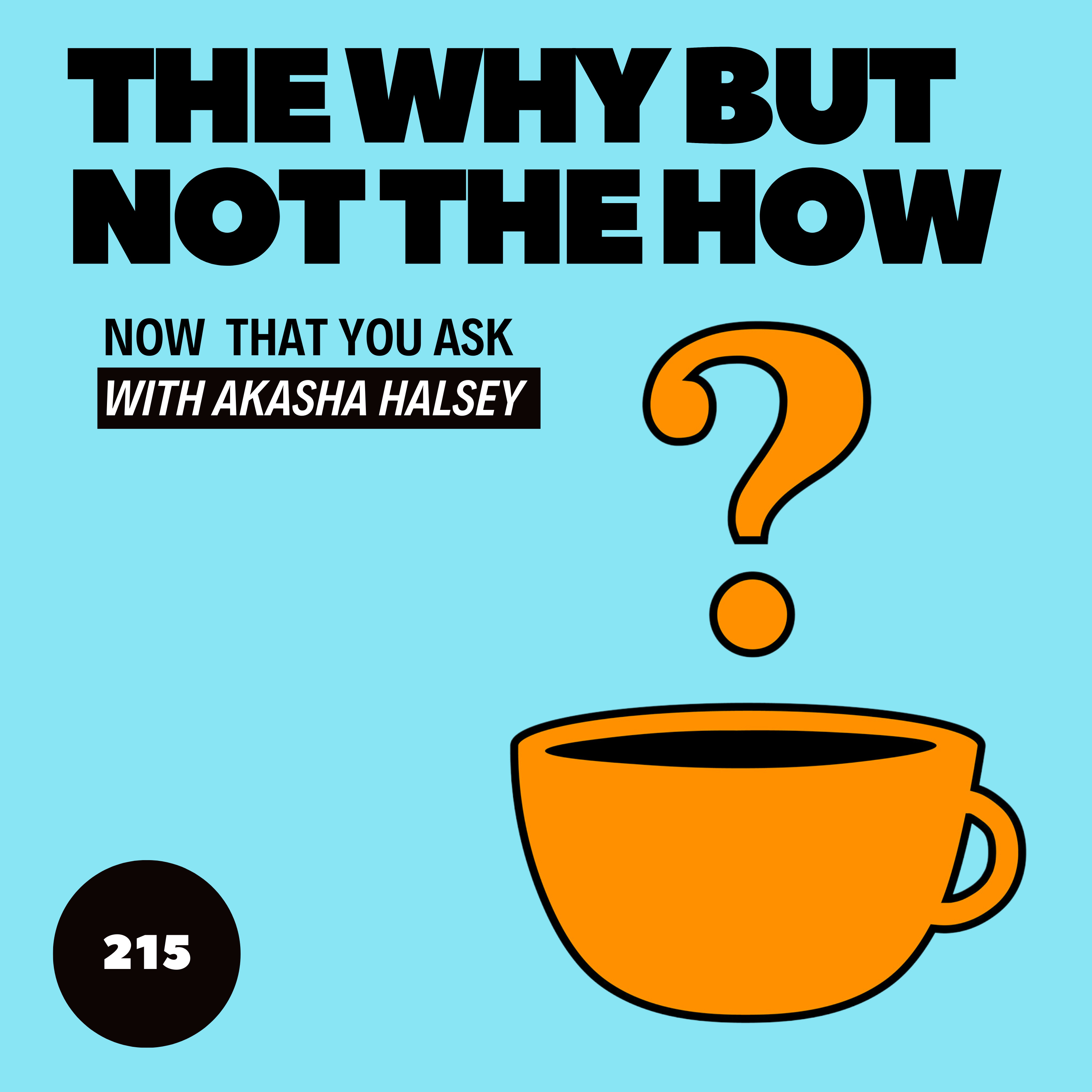 215. The Why But Not The How  episode artwork