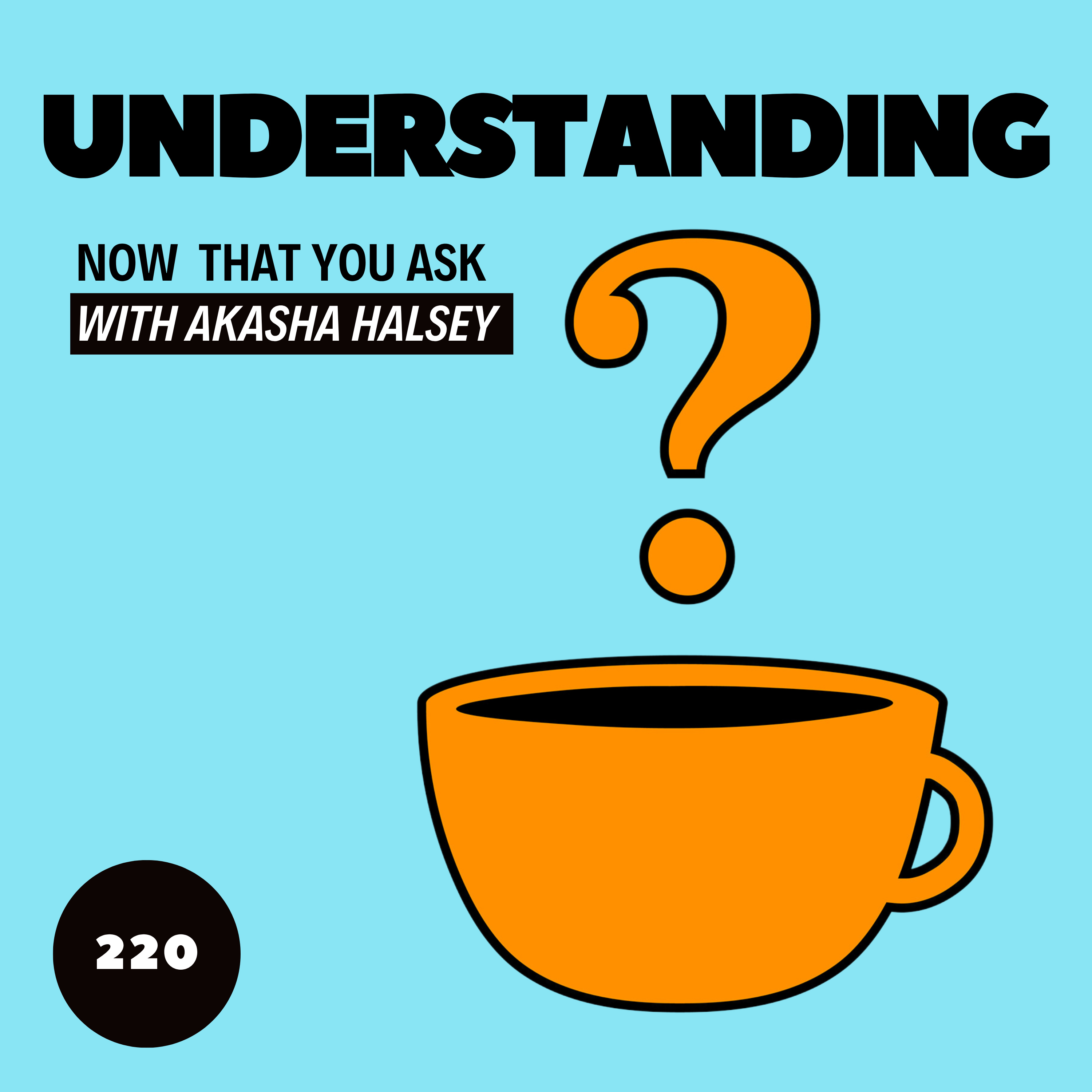 220. Understanding  episode artwork