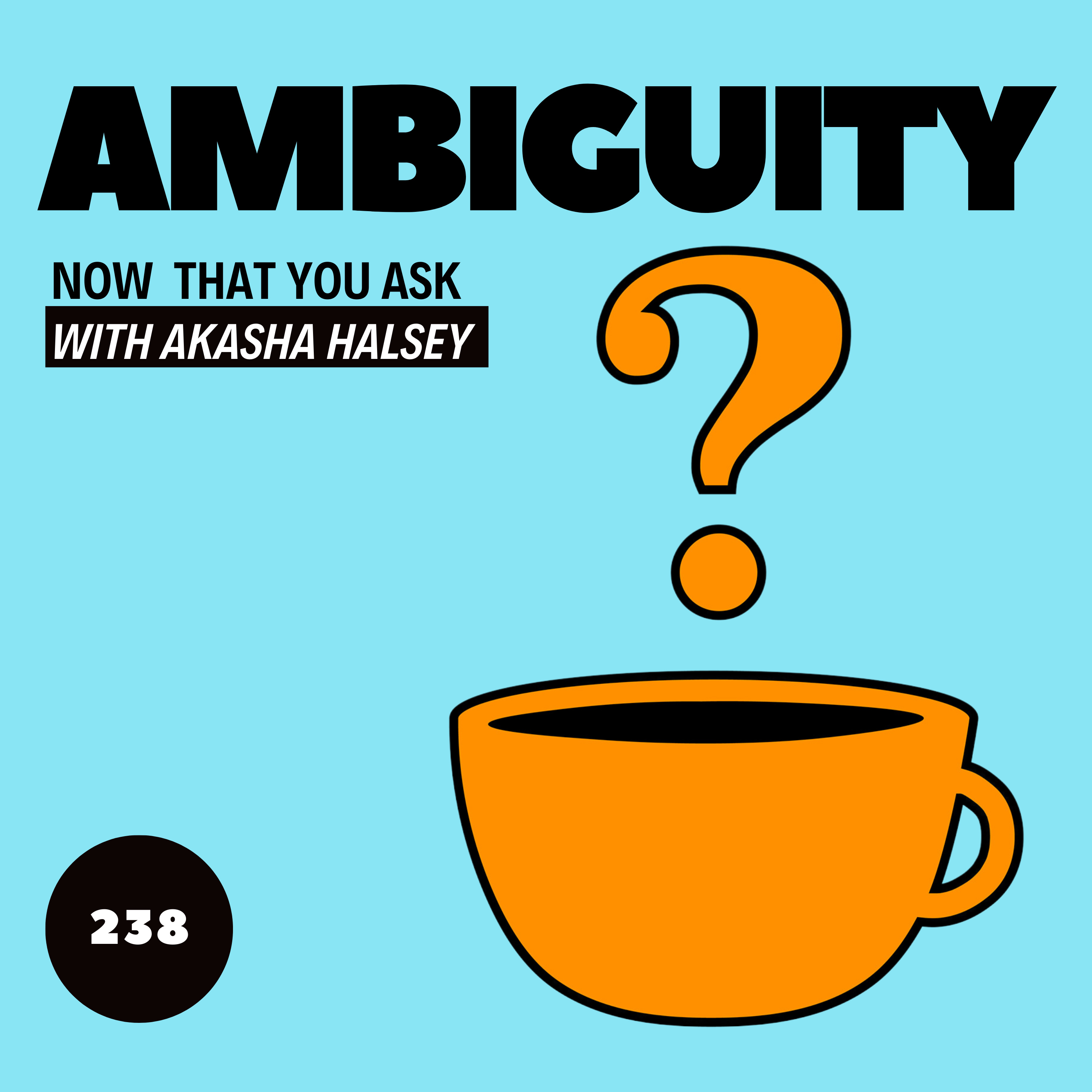 238. Ambiguity episode artwork