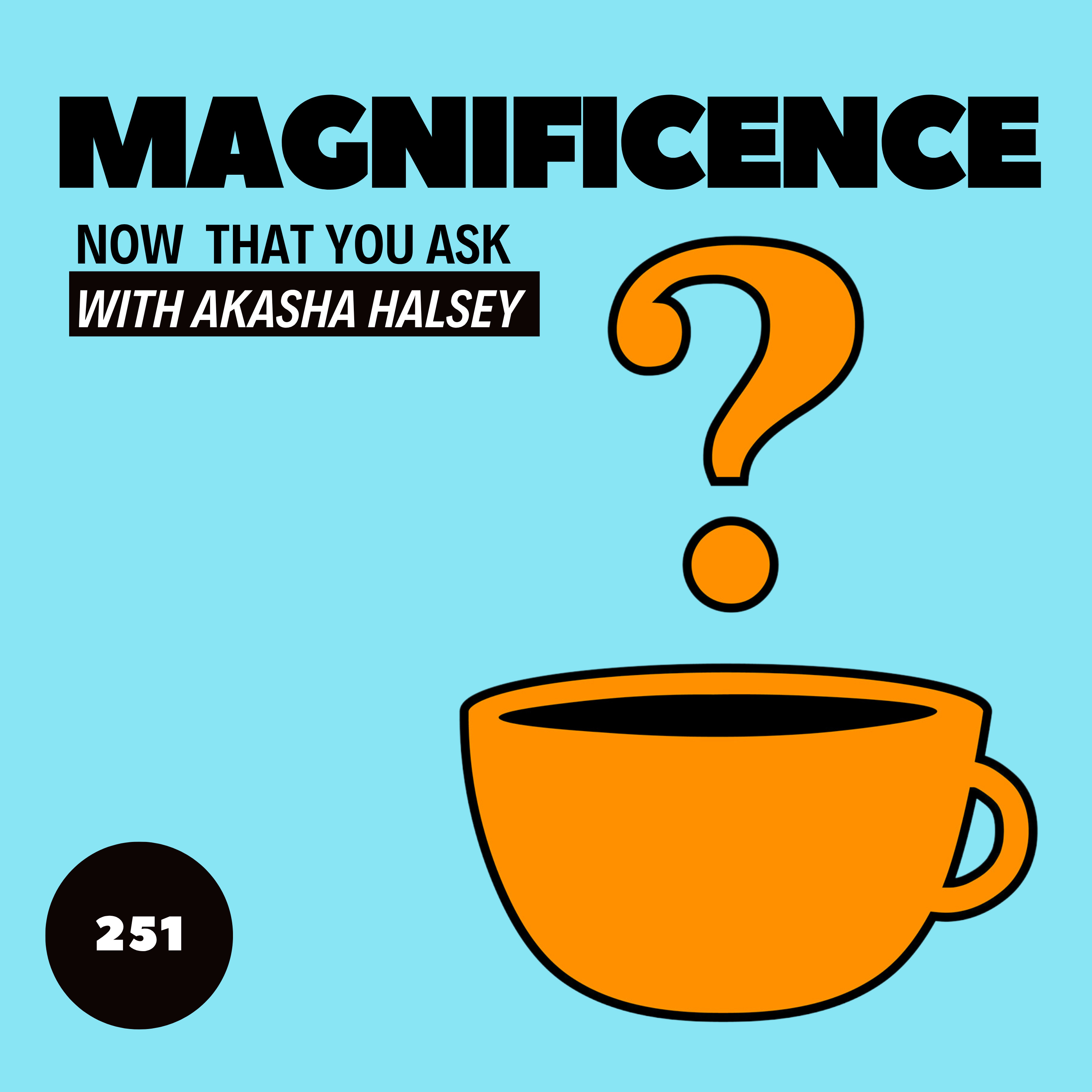 251. Magnificence episode artwork